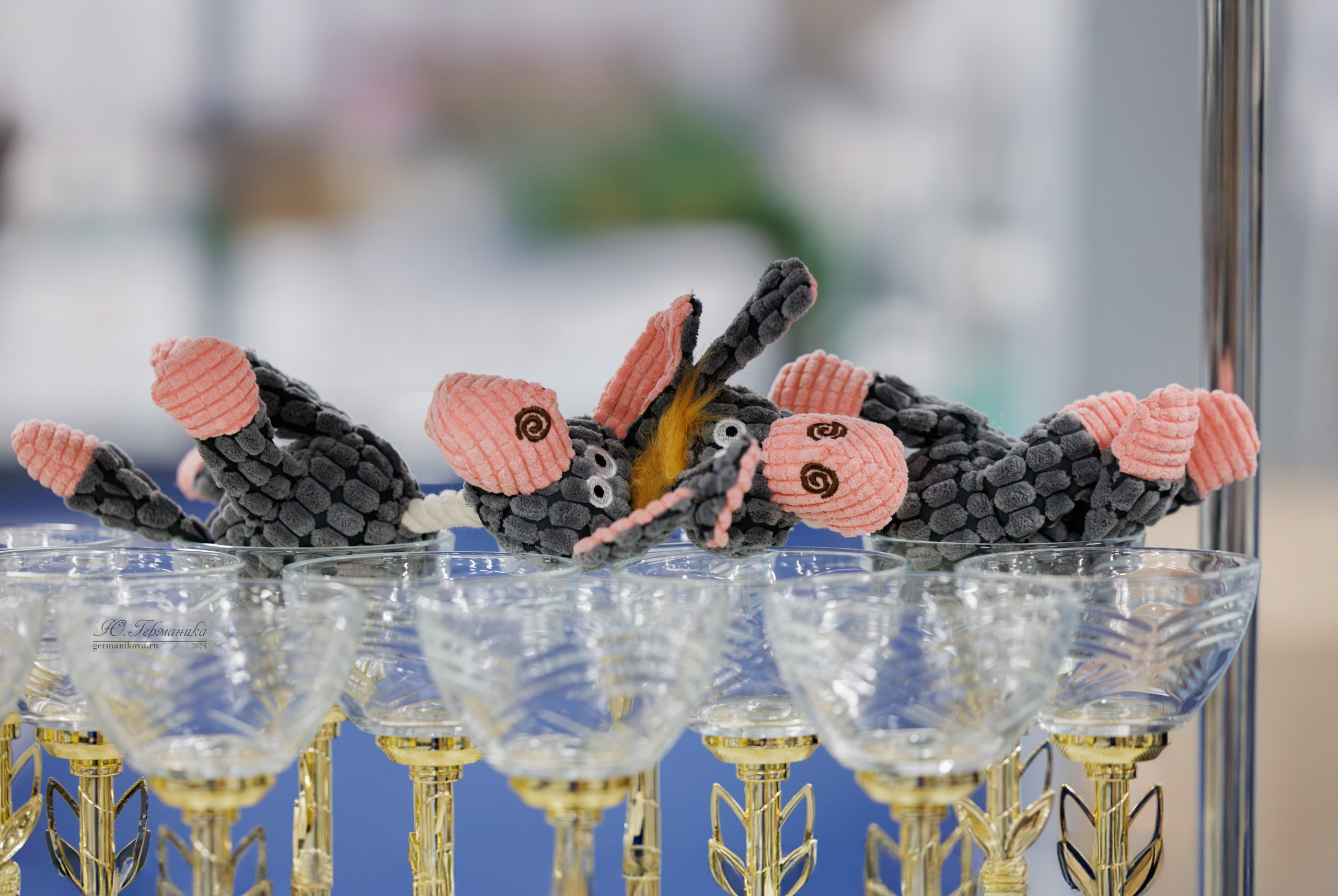 Сфера и Крокус 8,9,16 и 30.03.2025. Фотограф-анималист Юлия Германика