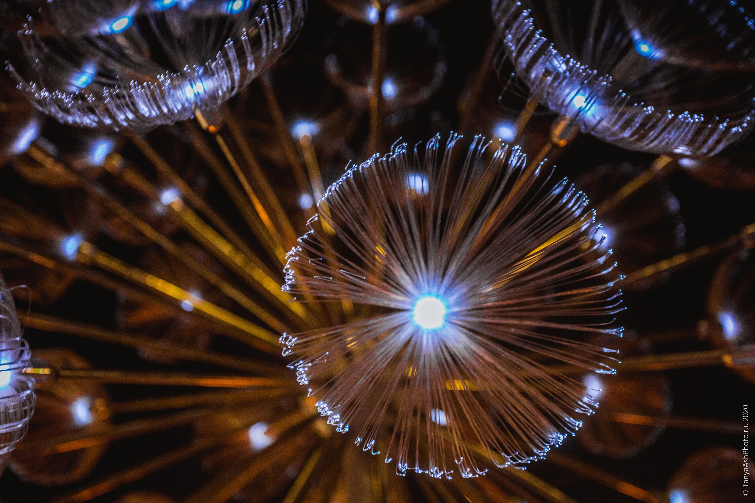 Москва. Photographer Sonkina Tatiana (Tanya Ash)