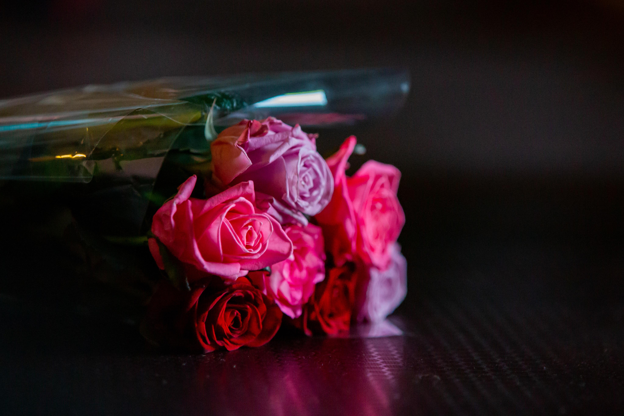 Мара, 29.11.20, ДК Горбунова, Москва