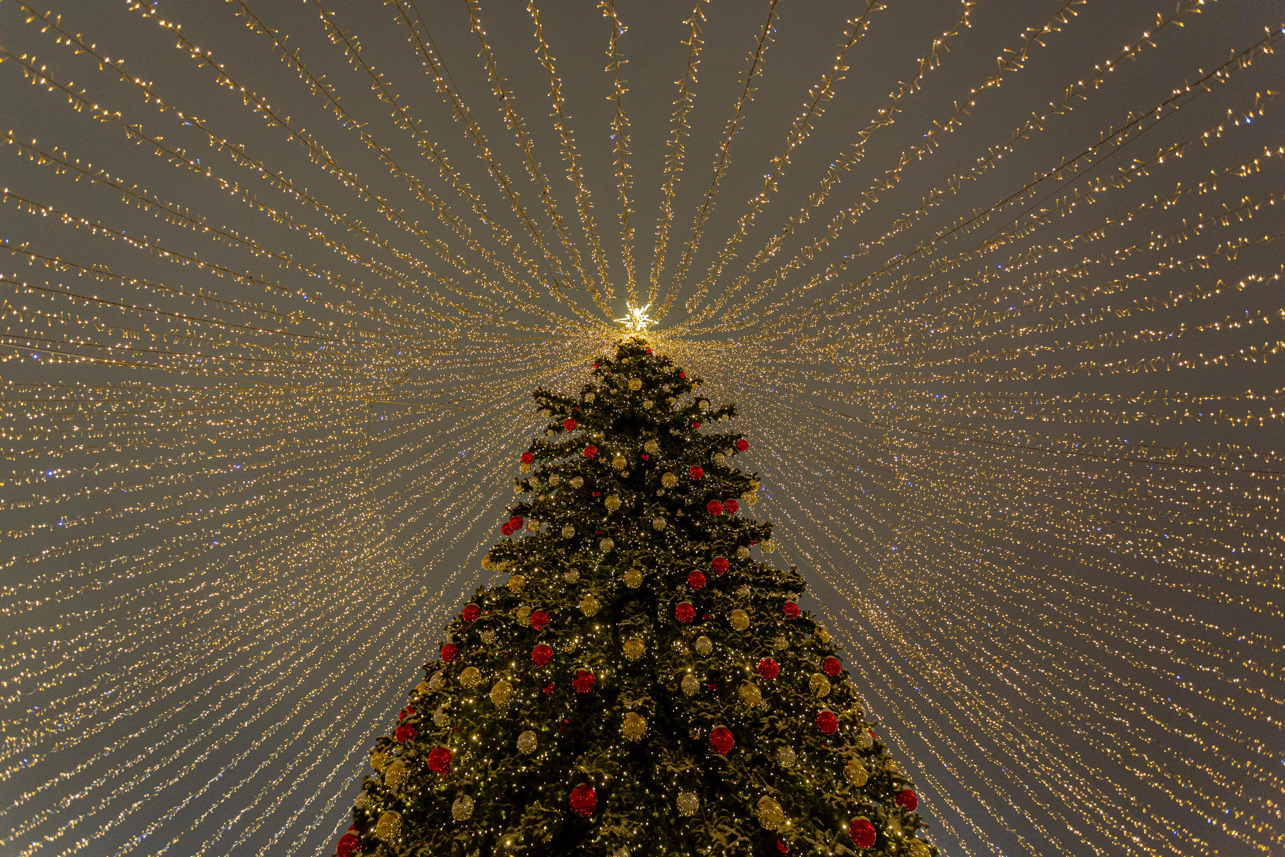 Москва. Photographer Sonkina Tatiana (Tanya Ash)