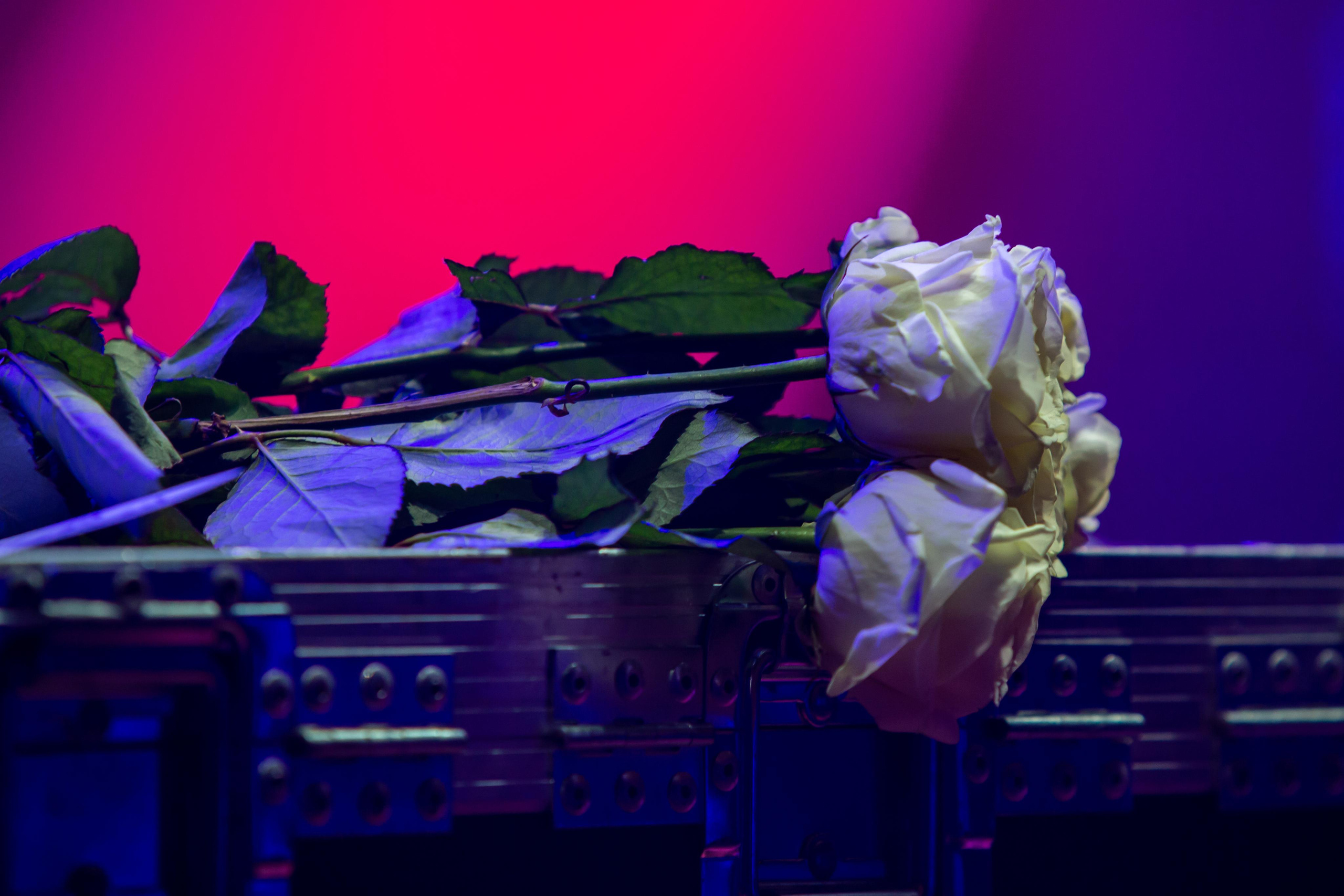 Мара, 29.11.20, ДК Горбунова, Москва