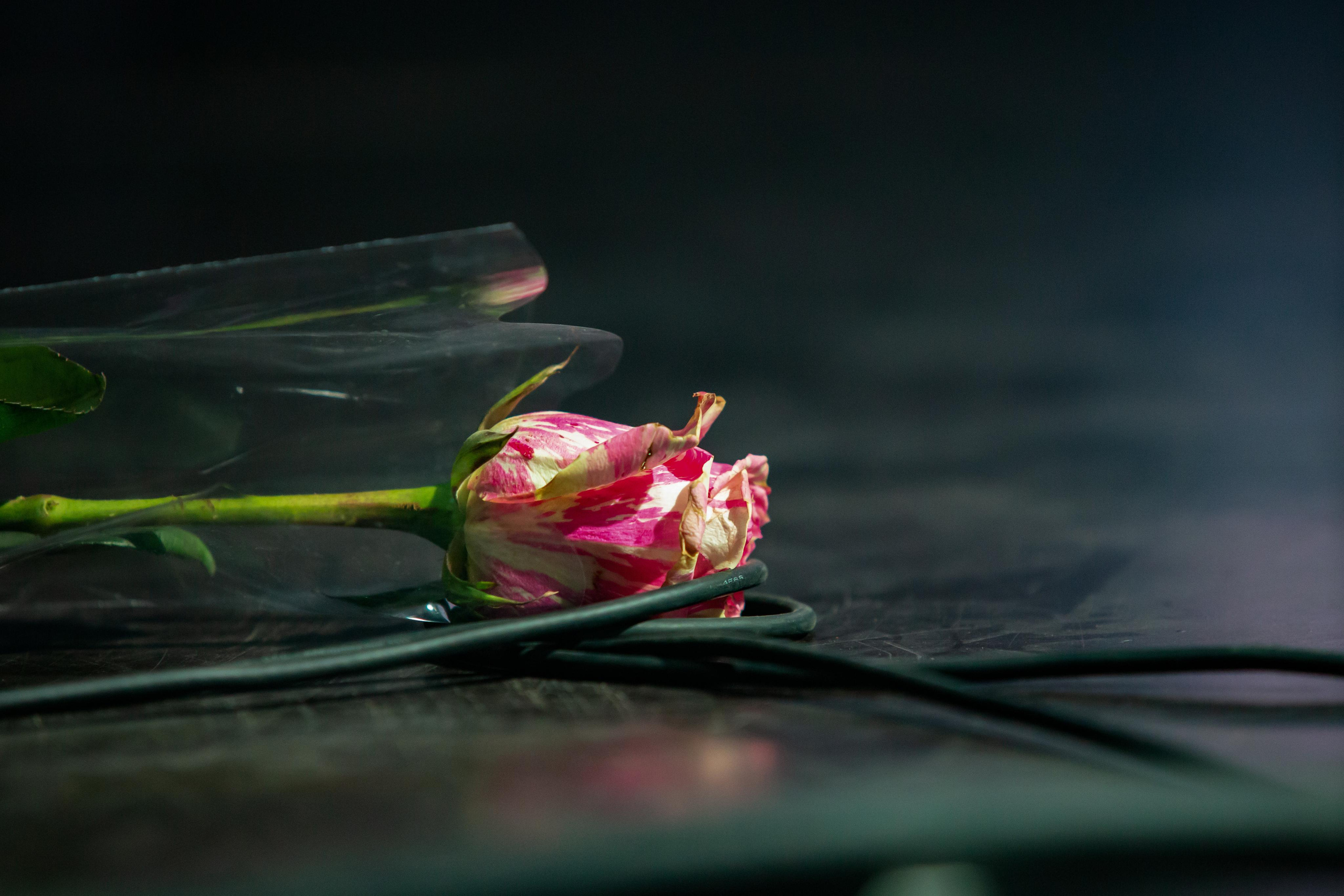 Мара, 29.11.20, ДК Горбунова, Москва