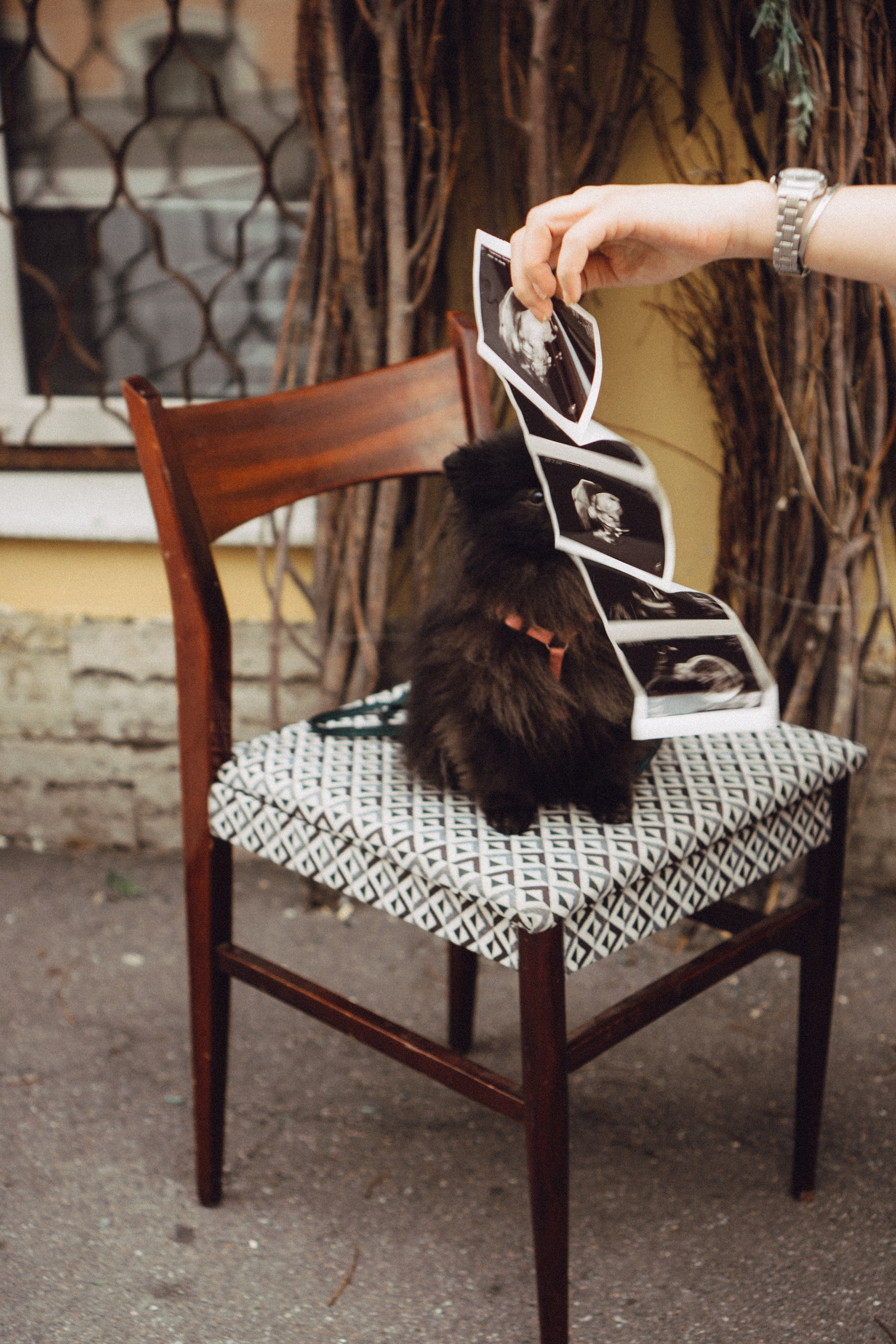 Беременность (только часть фото по желанию клиентов могу показать)). Профессиональный фотограф, Санкт-Петербург — Виктория Богомолова