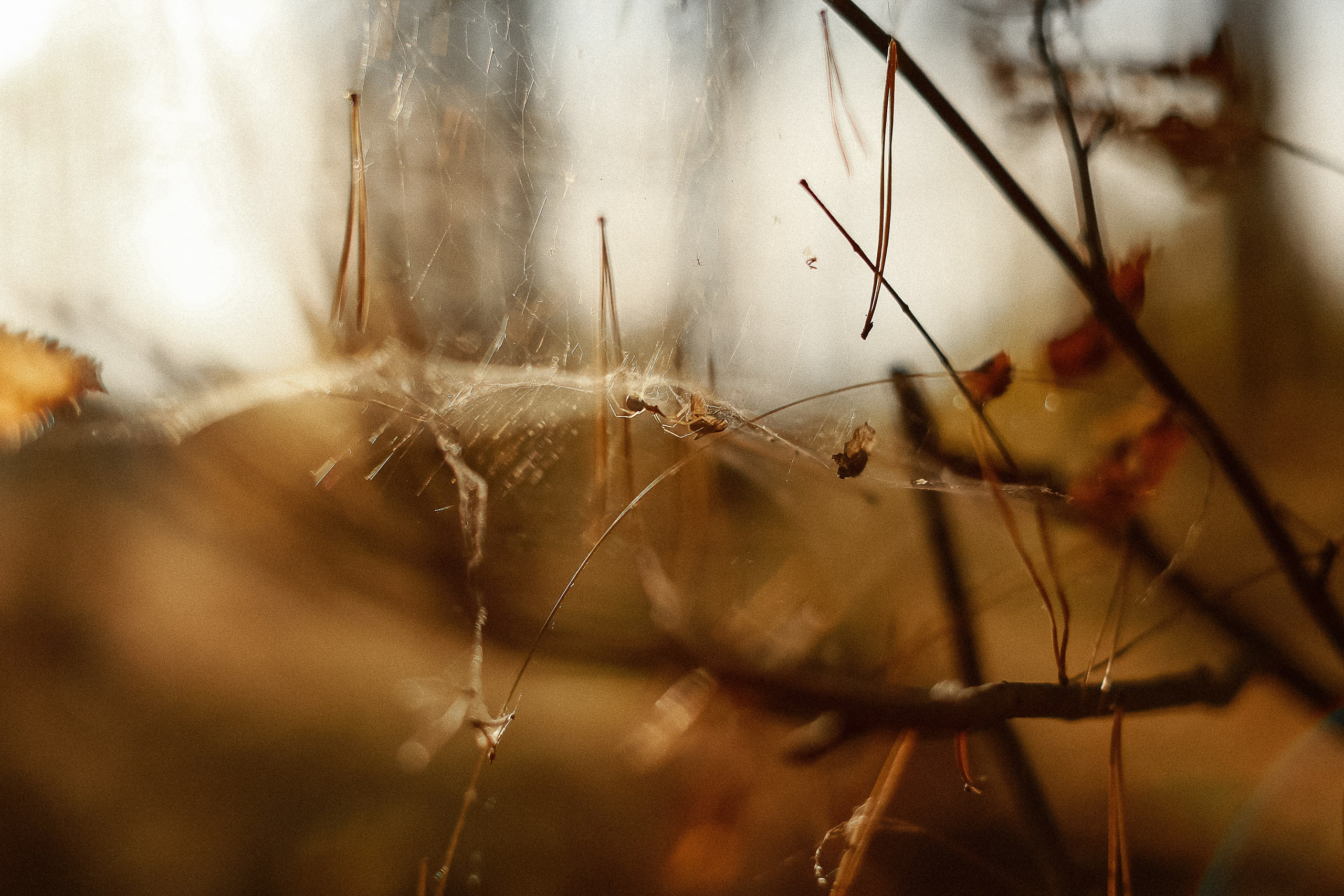 Магия обыкновенного. Фотограф-документалист и фототерапевт Настя Китаева. Город Москва
