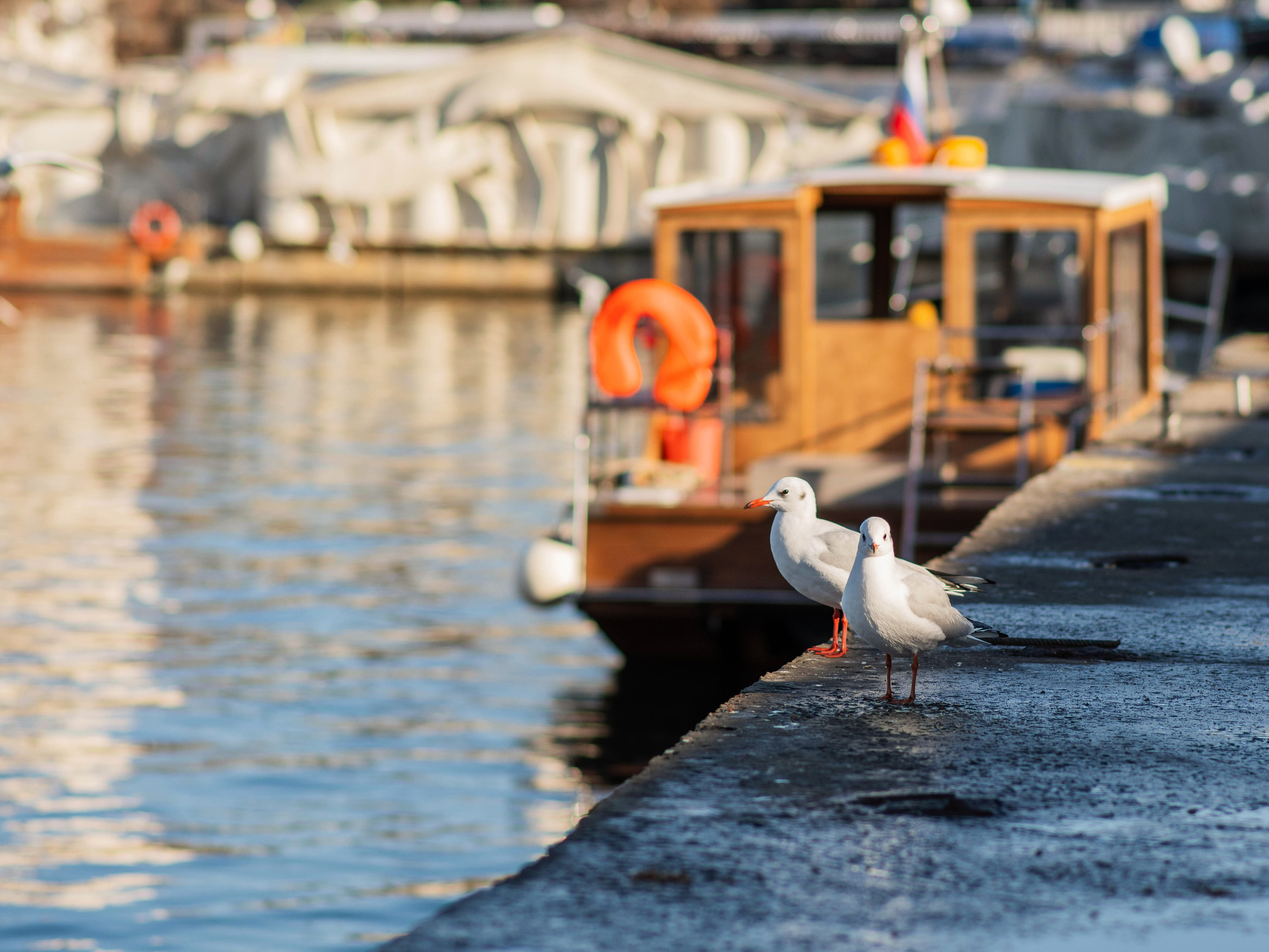 фотограф Севастополь, фотопрогулка в Севастополе, фотограф в Севастополе, фотосессия в Севастополе, Артбухта, Севастополь