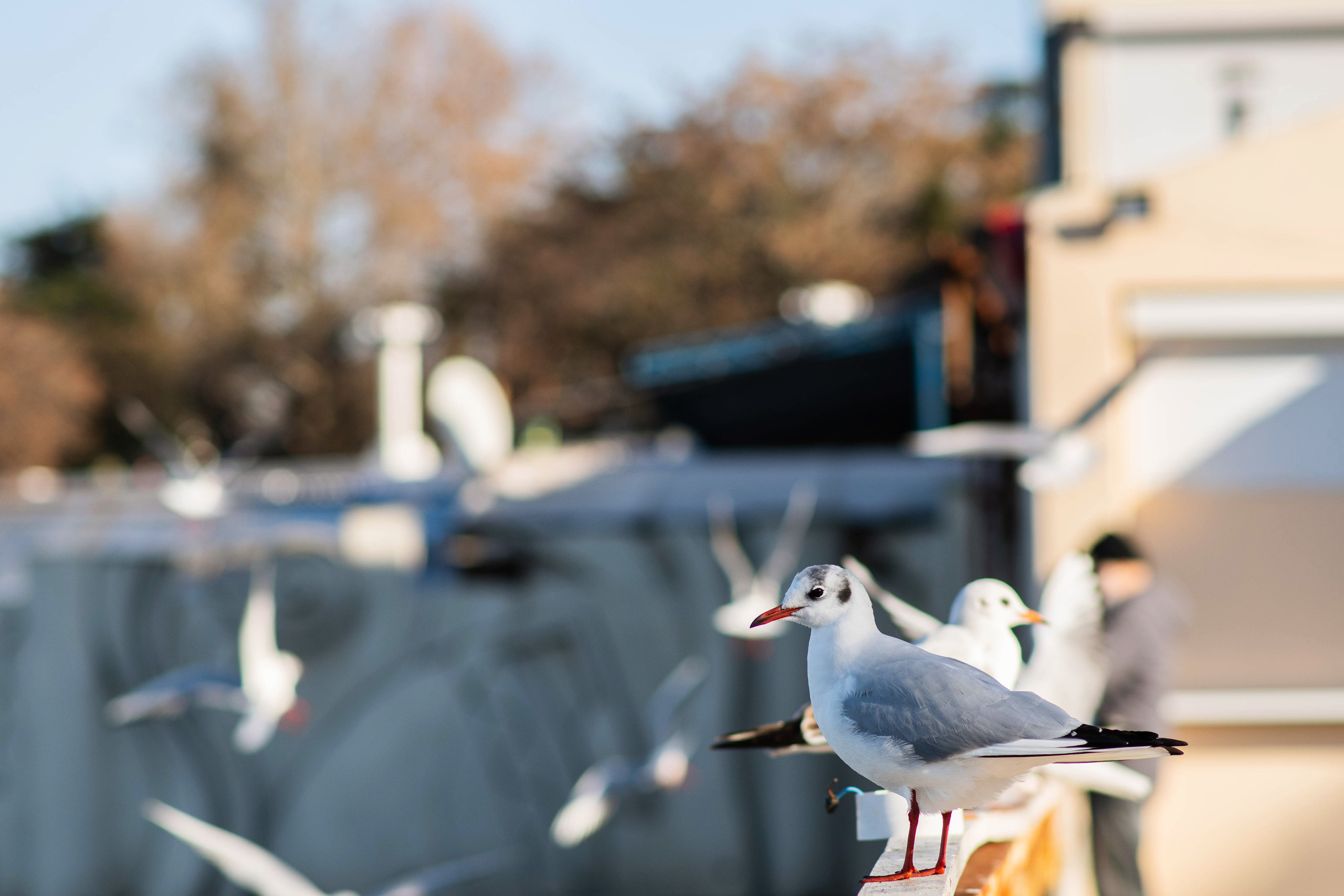 фотограф Севастополь, фотопрогулка в Севастополе, фотограф в Севастополе, фотосессия в Севастополе, Артбухта, Севастополь