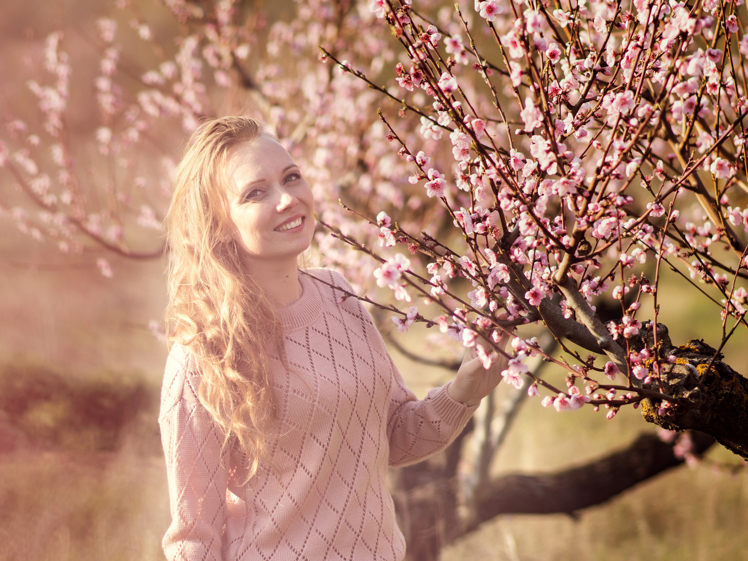фотосессия в цветущих садах, фотограф Севастополь,  фотограф в Севастополе,  фотосессия в цветущих персиках,  фотосессия в персиковых садах, весенняя фотосессия, персиковый сад Севастополь,  персиковые сады Севастополь