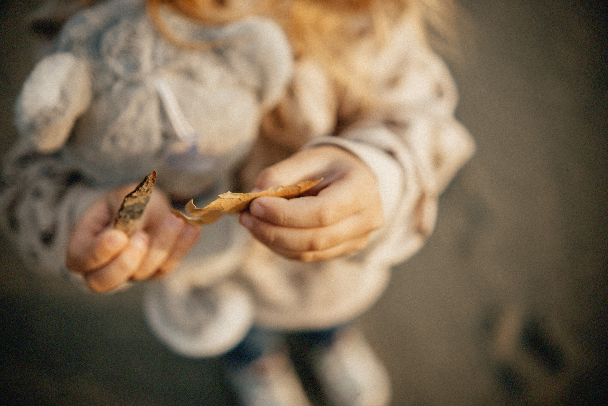 Любить осенью. Свадебный и семейный фотограф Барнаул Рубцовск Бийск Алтайский край