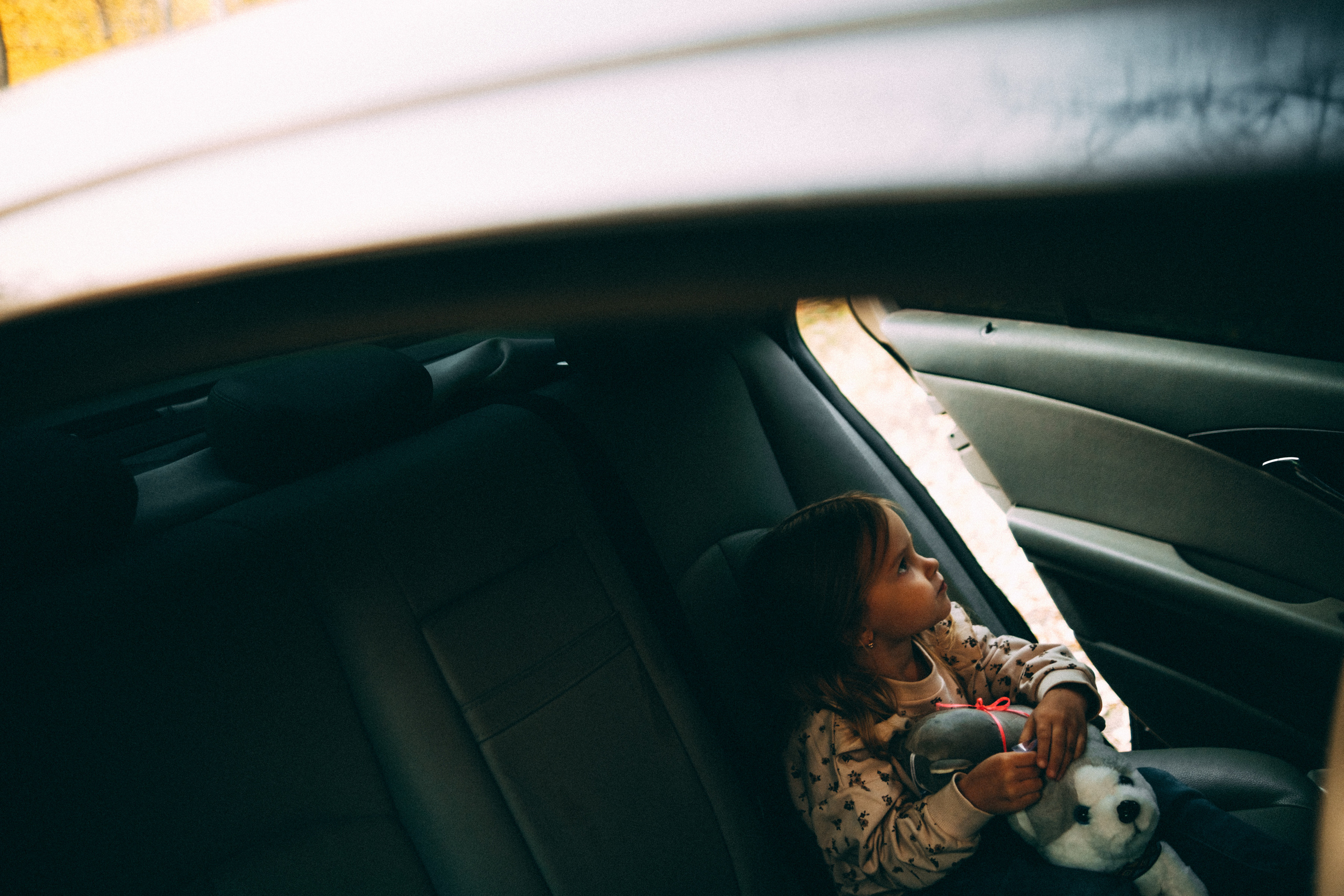 Любить осенью. Свадебный и семейный фотограф Барнаул Рубцовск Бийск Алтайский край