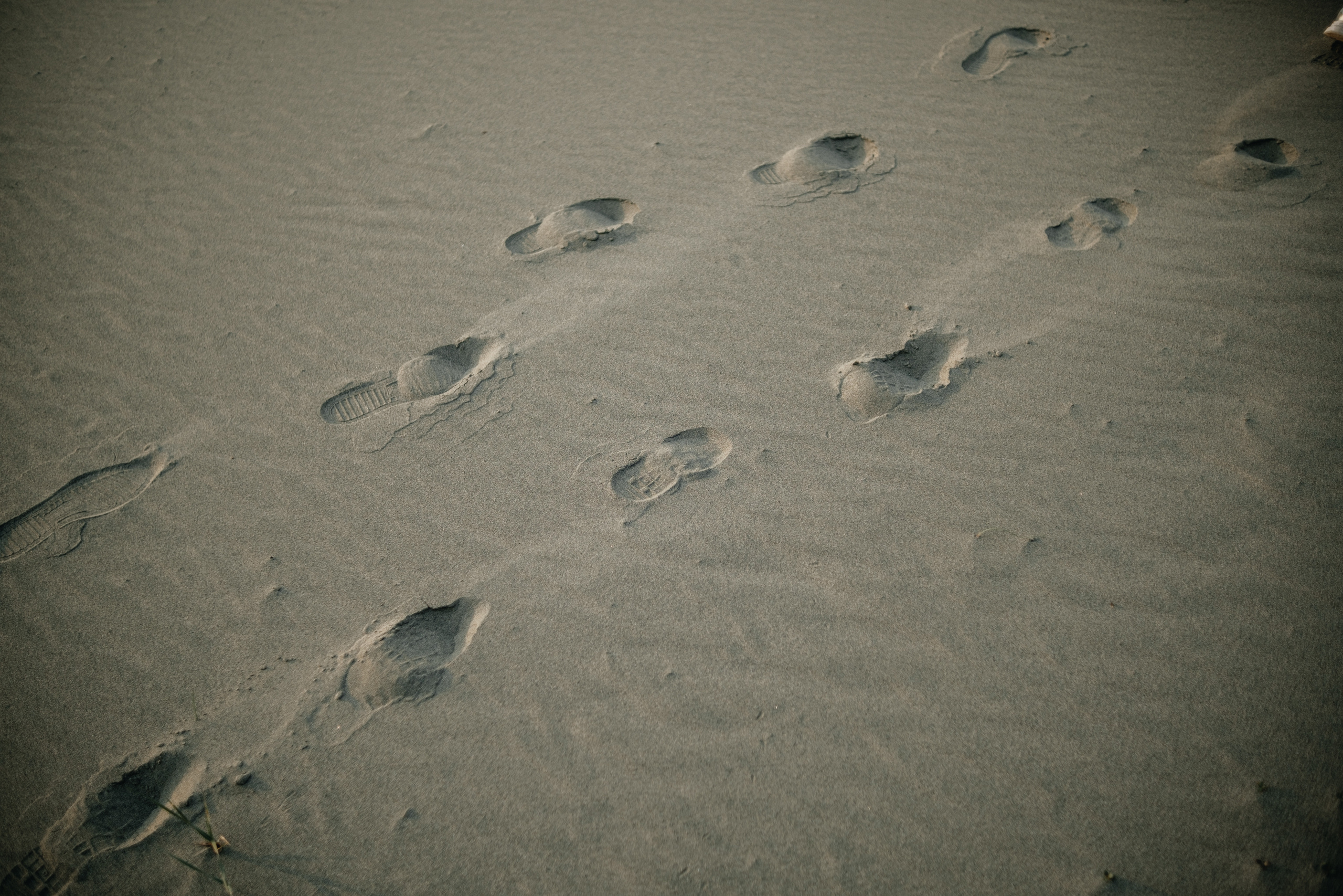 Любить осенью. Свадебный и семейный фотограф Барнаул Рубцовск Бийск Алтайский край
