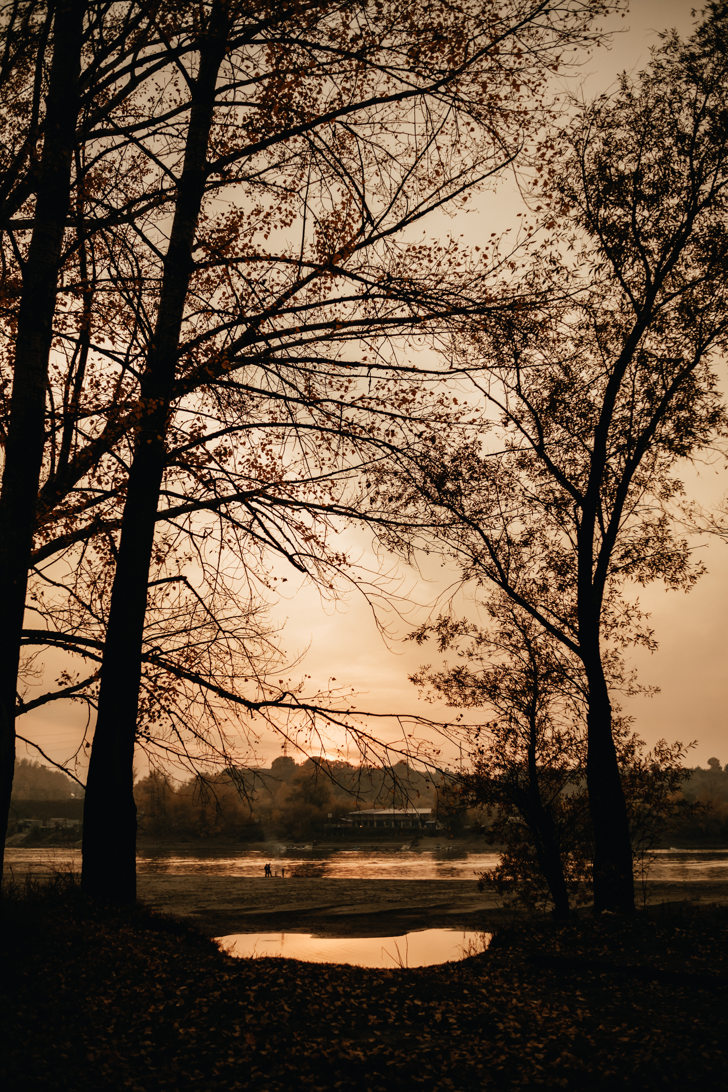 Любить осенью. Свадебный и семейный фотограф Барнаул Рубцовск Бийск Алтайский край