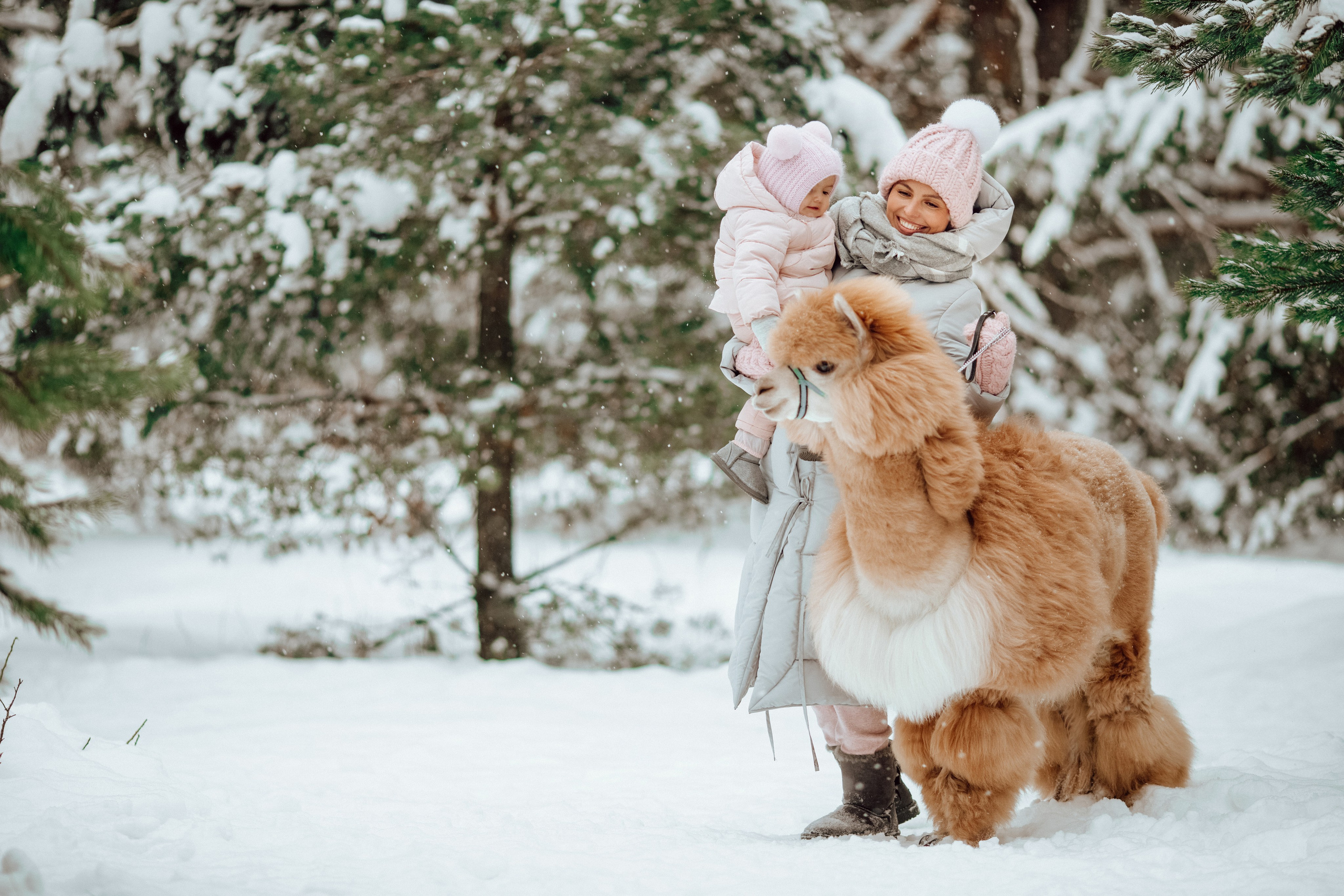Семейные съемки. Алина Малышева, свадебный и семейный фотограф Москва