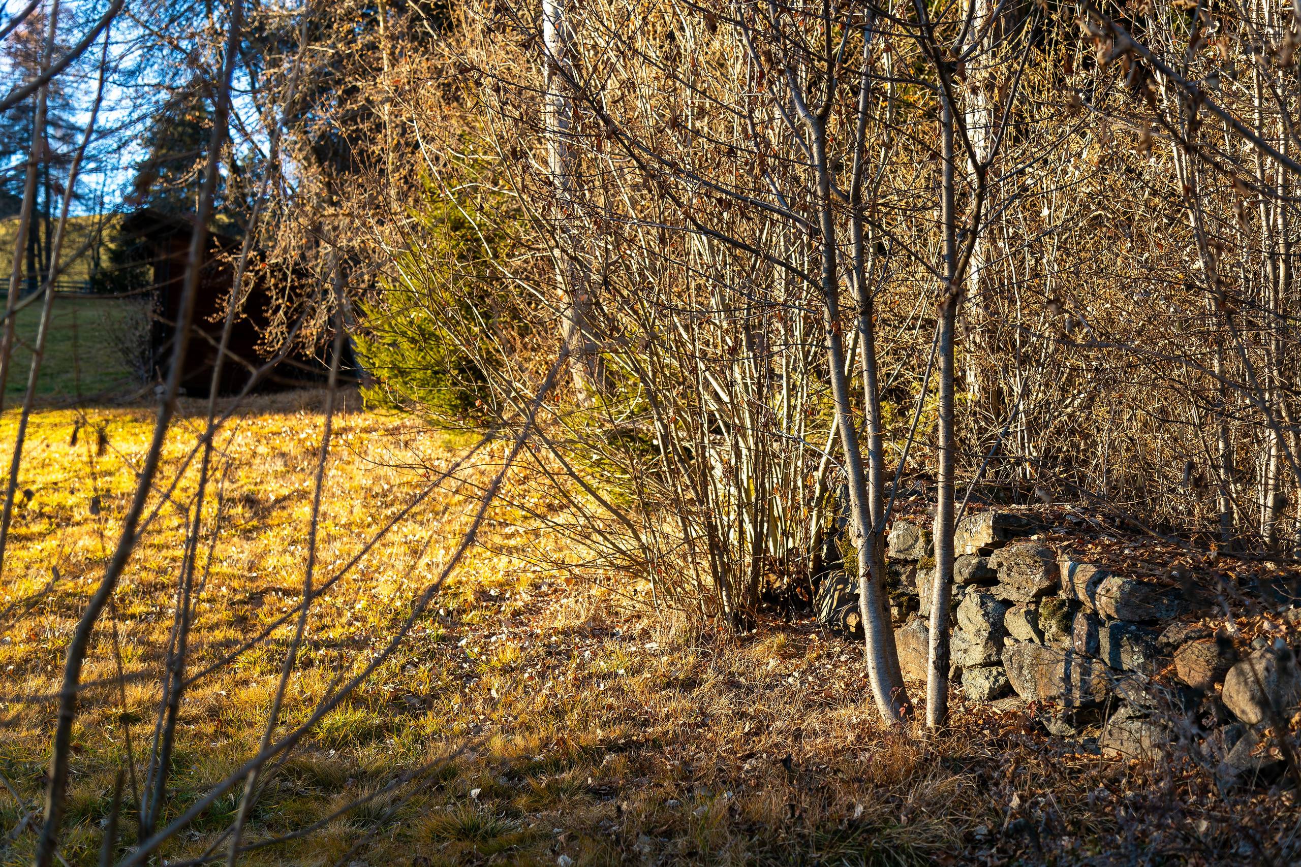 Фотосъёмка Альпы Италия, пейзажи и архитектура. «Студия DRONAVT`s» — видеосъёмка и фотография г. Москва