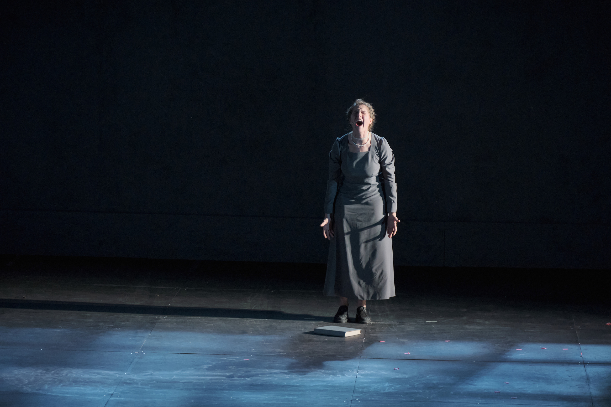 Евгений Онегин, ТЮЗ, Красноярск