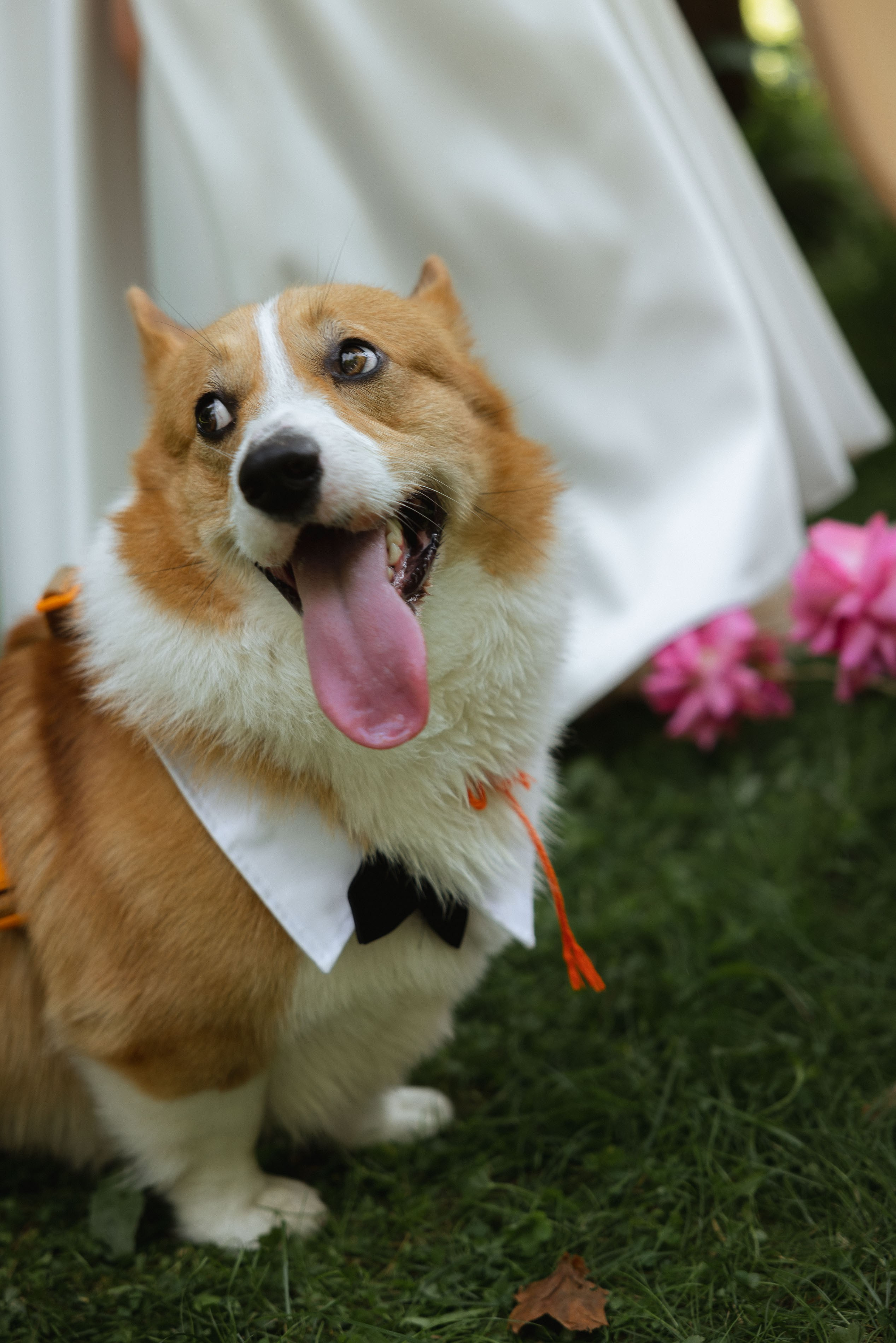 ТЫ — моё навсегда. Свадебный фотограф Ярославль, Рыбинск