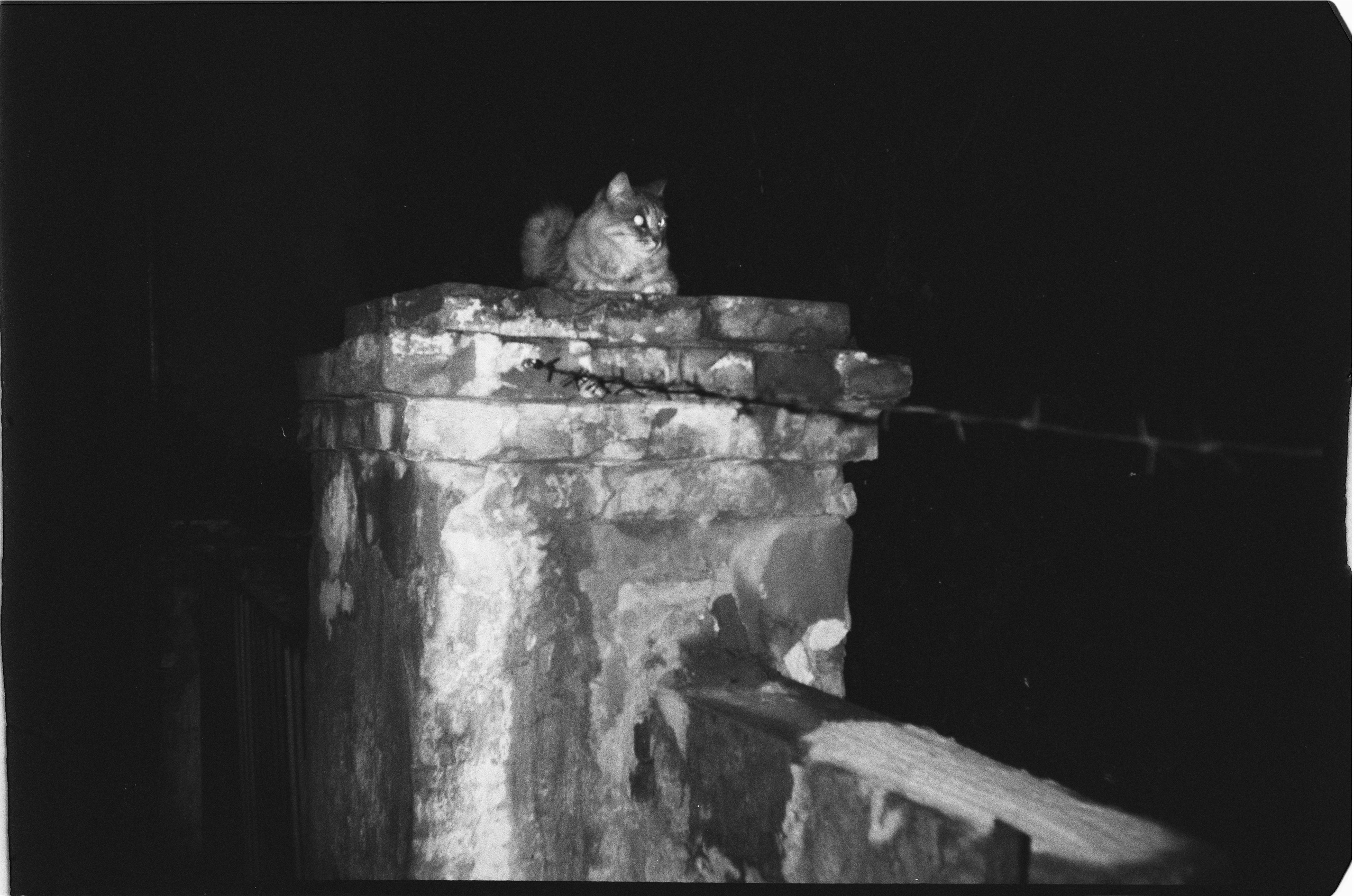 И вокруг меня. Портретный и концертный фотограф в Санкт-Петербурге Егор Телятников