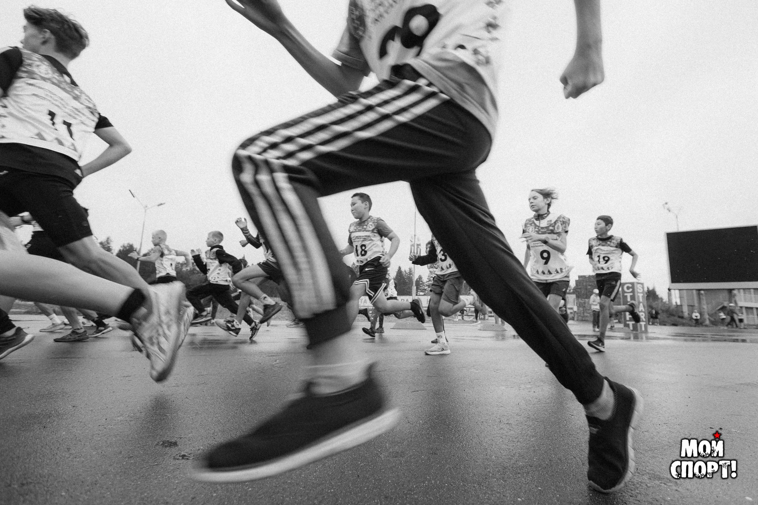 Чемпионат и первенство РС (Я) по лыжероллерам и кроссу. Студия «Мой Спорт!» — все о спорте в Якутии