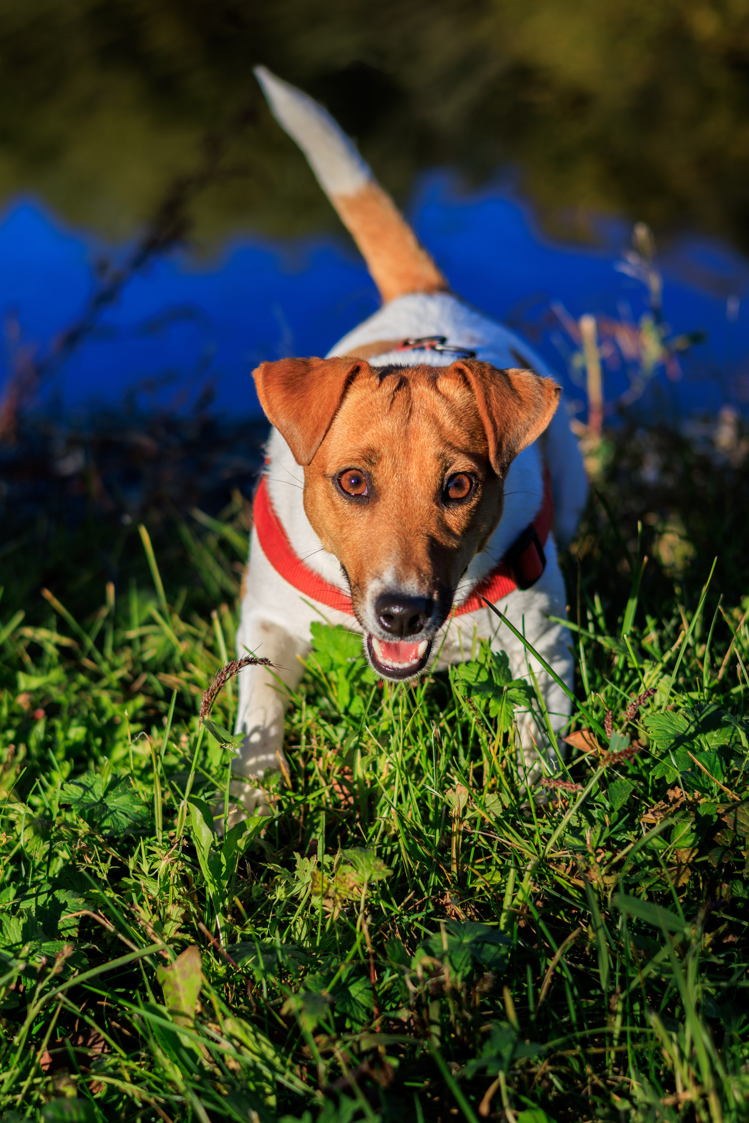 Семейные фотосессии. Фотограф Оксана Дойбань в Биробиджане