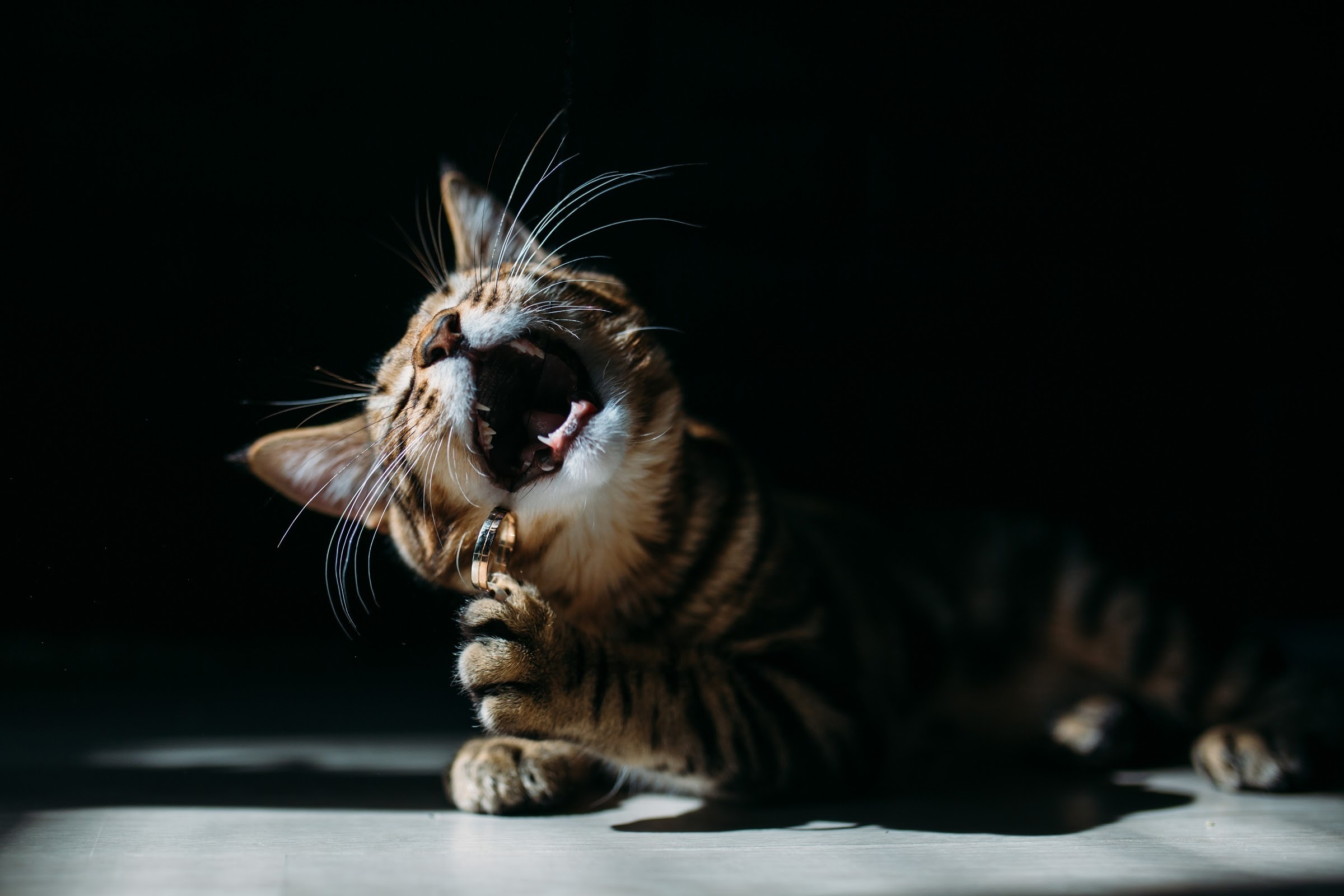 Фотограф Очагов Дмитрий Ярославль, Москва, Переславль-Залесский