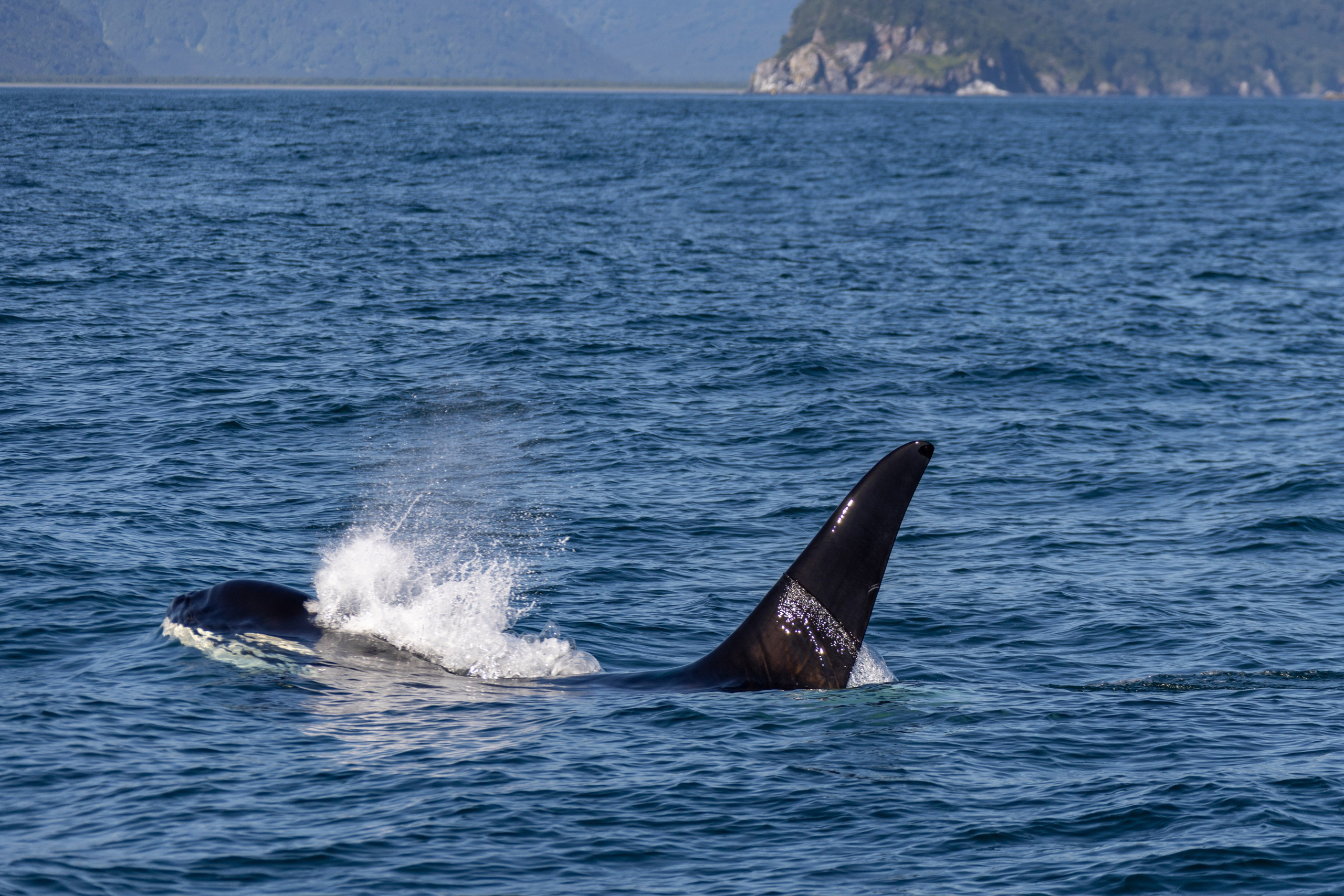 Научно-популярная Камчатка. Время Камчатки: чтобы найти свой путь, нужно скорость умножить на время