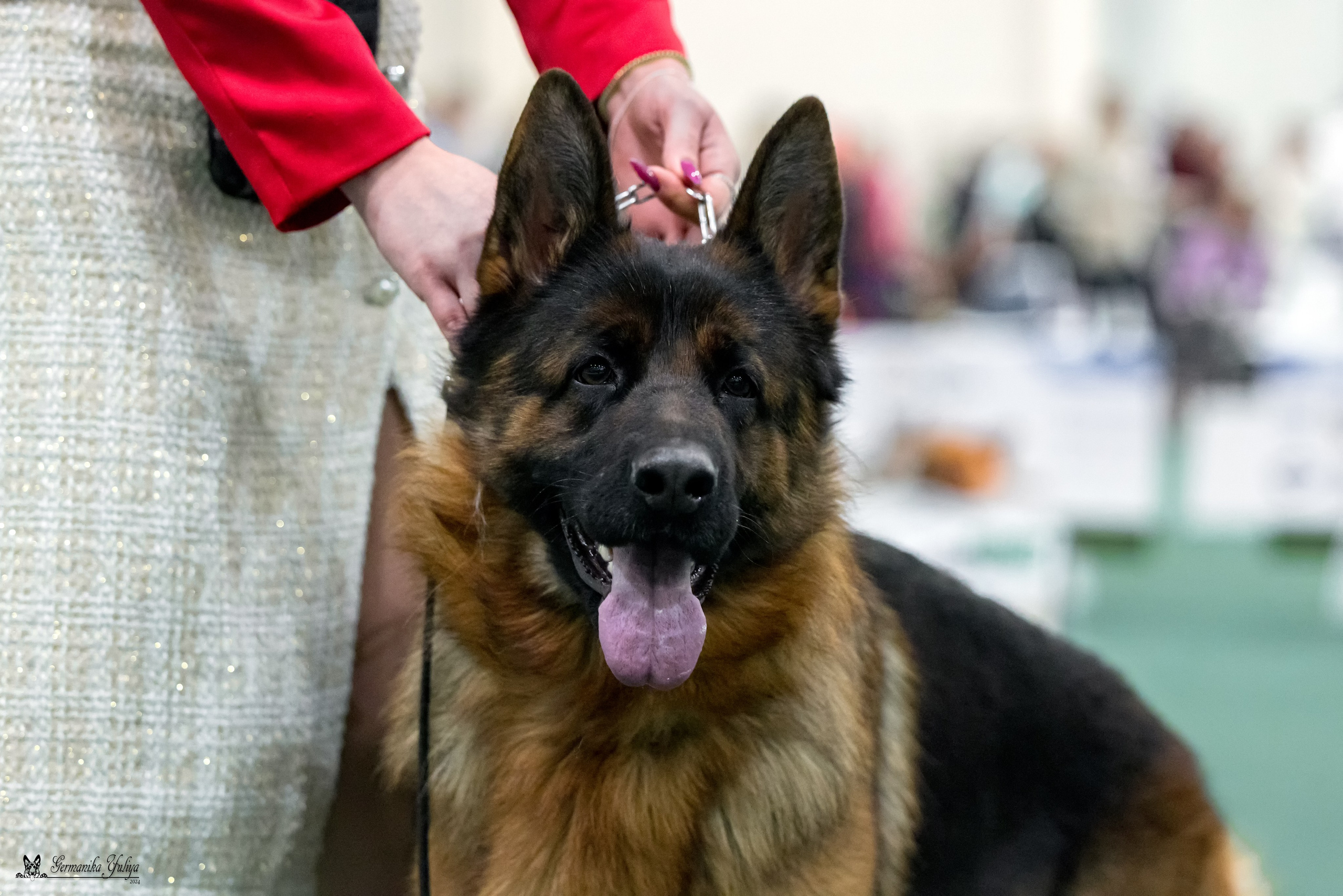 Сабанеевка 26-27.01.2024. Фотограф-анималист Юлия Германика