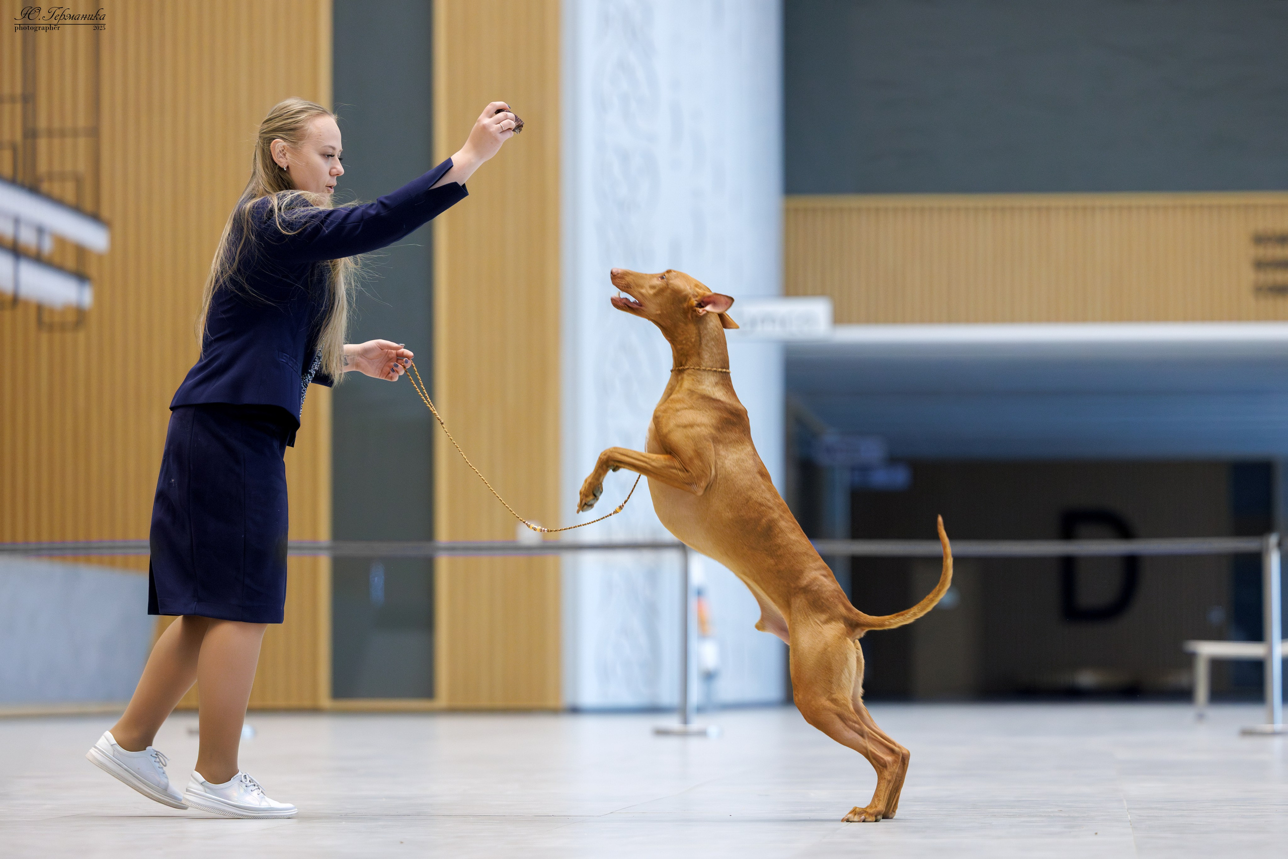 Астана 2хCACIB 3-4.05.2025. Фотограф-анималист Юлия Германика