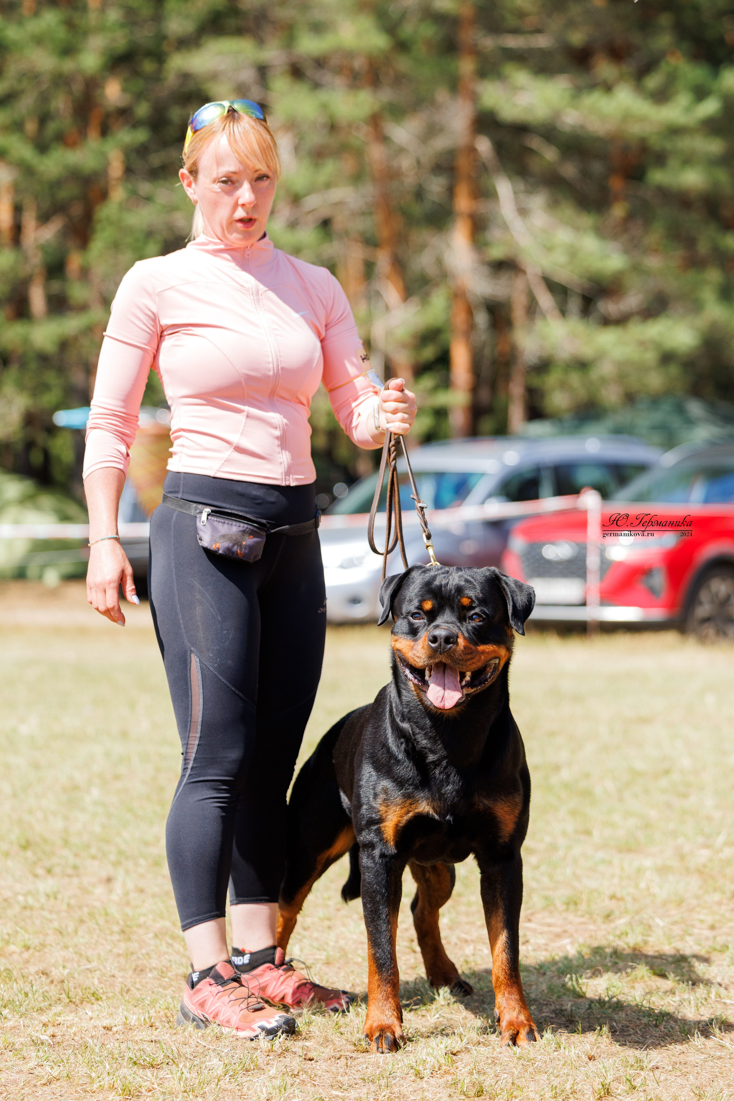 ПК и КЧК ротвейлеры Тверь 6-7.07.2024. Фотограф-анималист Юлия Германика
