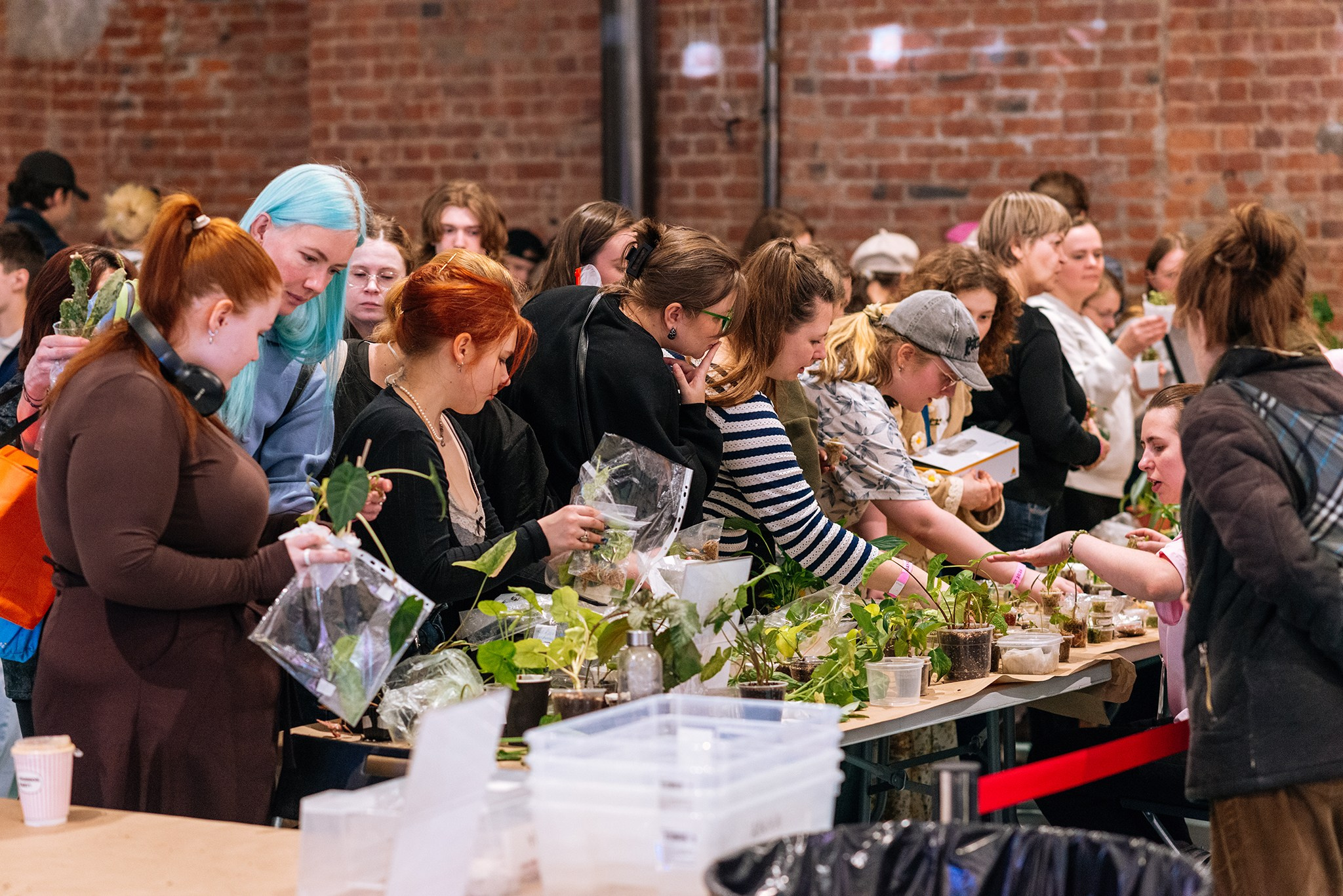 ВАУ Фест. Март 26. Репортажный фотограф в Санкт-Петербурге Анастасия Клёпова
