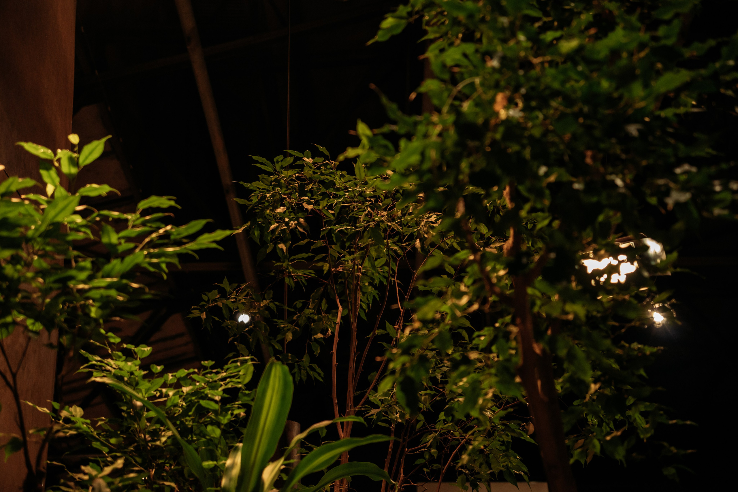 SM MARKET WINTER 25. Фотограф Дмитрий Жилин