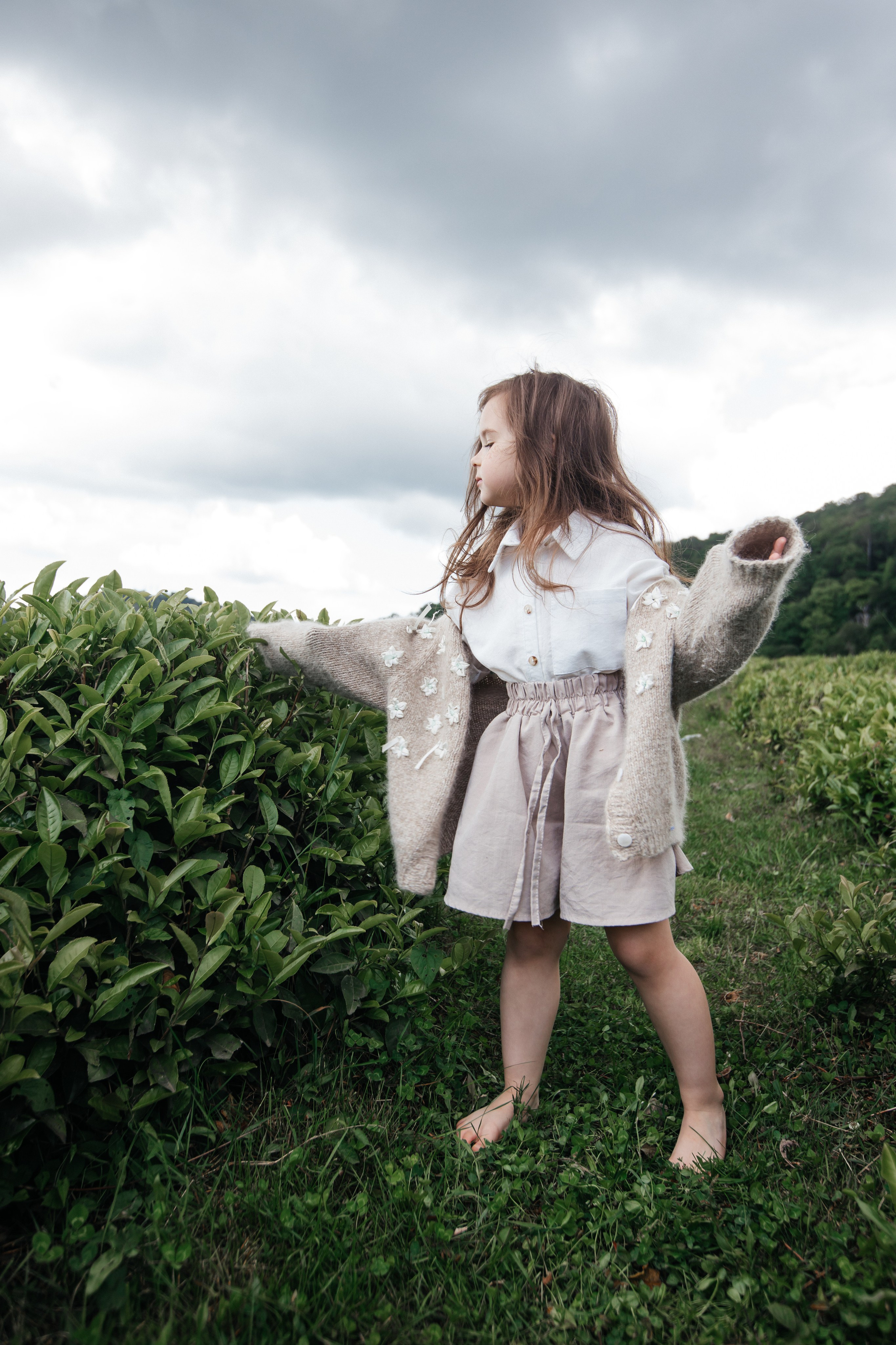 Tea plantation. Efimova Model Agency