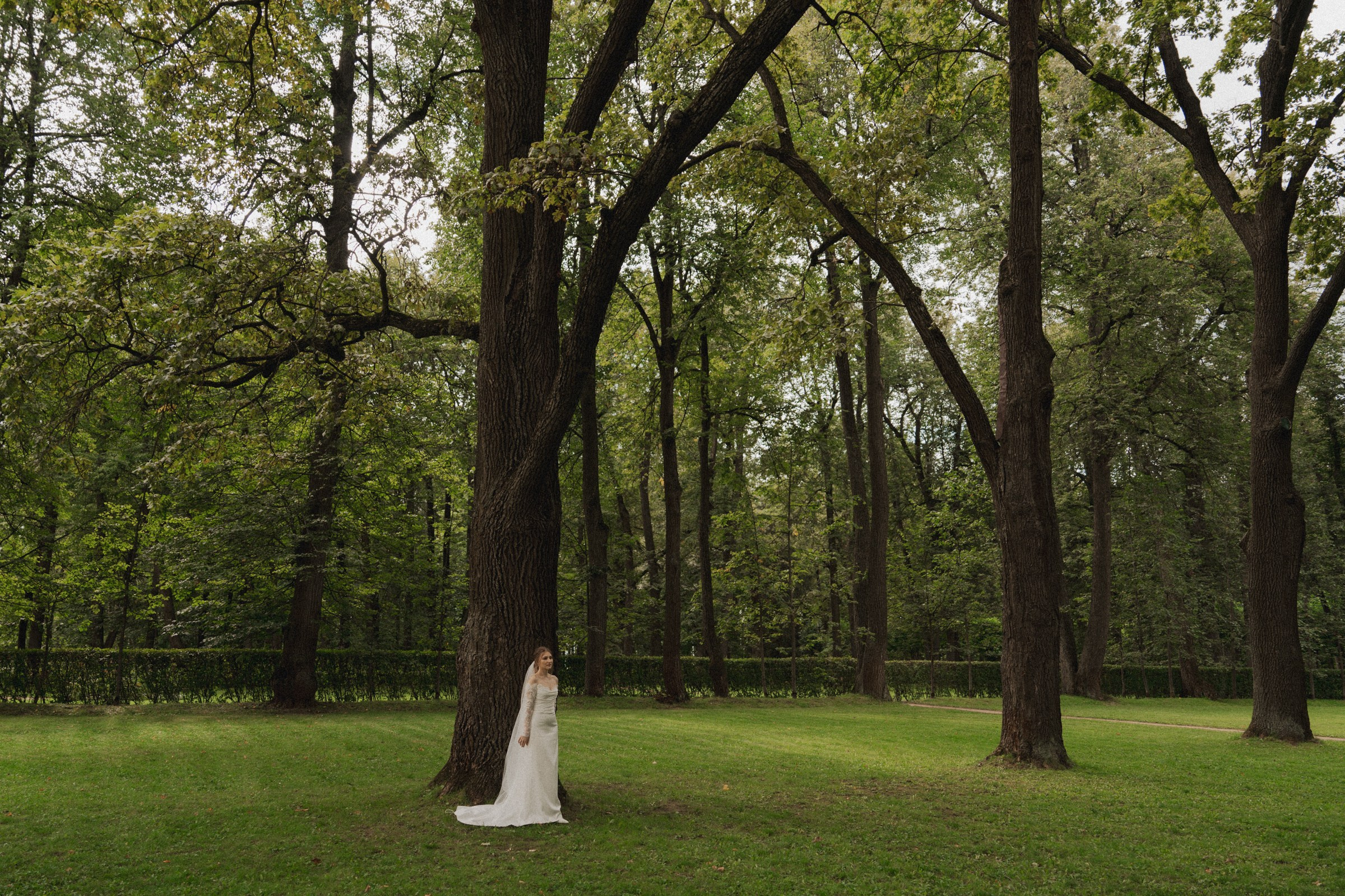 К ♡ Е — Под кроной вечности (Усадьба Остафьево). Свадебный и портретный фотограф в Москве, Светлана Янковая