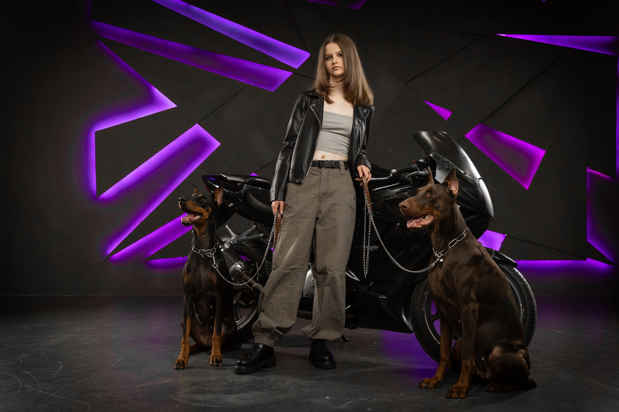 Фотосессия в студии с мотоциклом и доберманами. Фотограф в Санкт-Петербурге — Сергей Петров