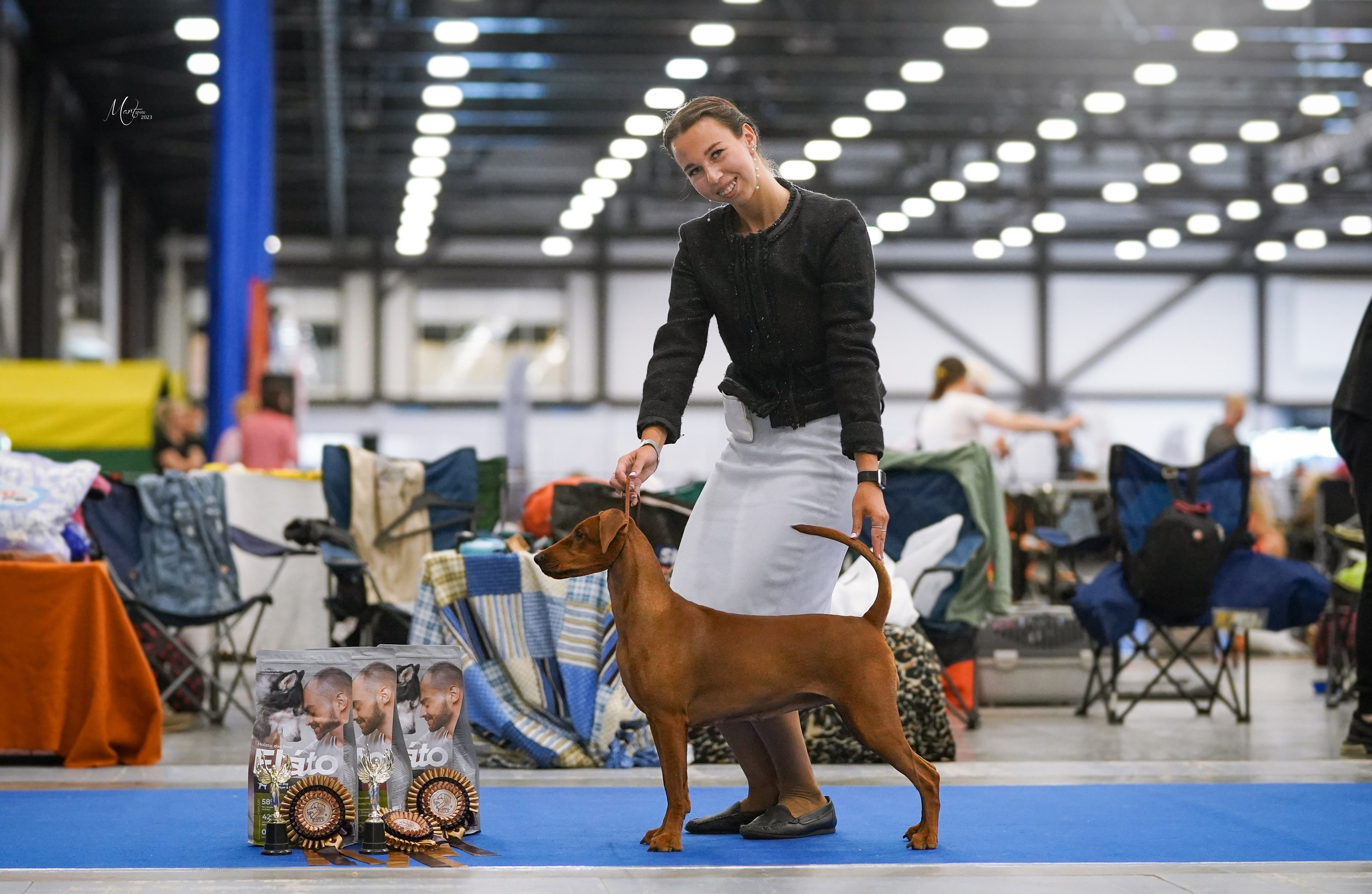 Выставки 2023. Фотограф-анималист в Санкт-Петербурге Яна Мартынова