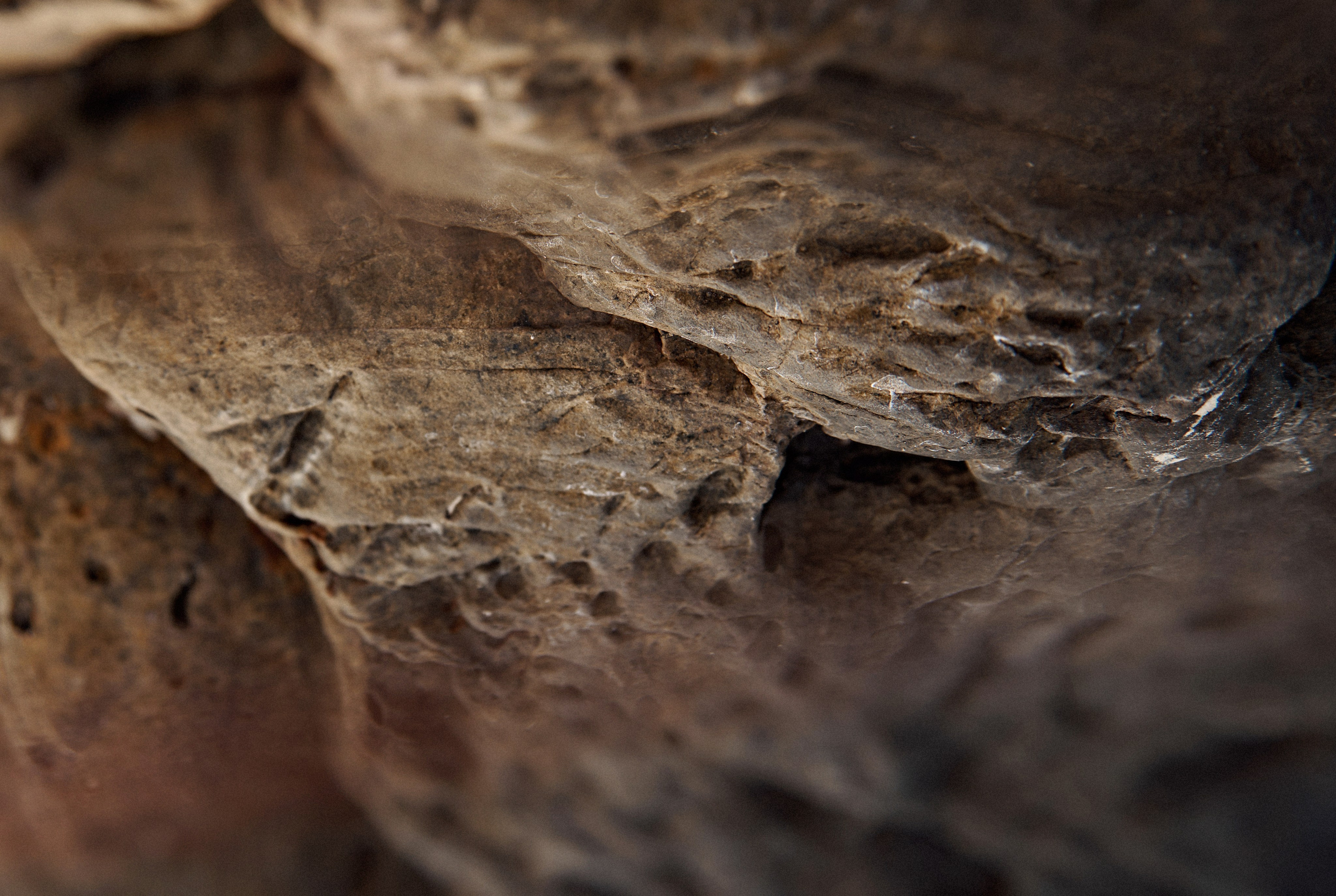 YANA. Свадебный фотограф Юлия Гусева