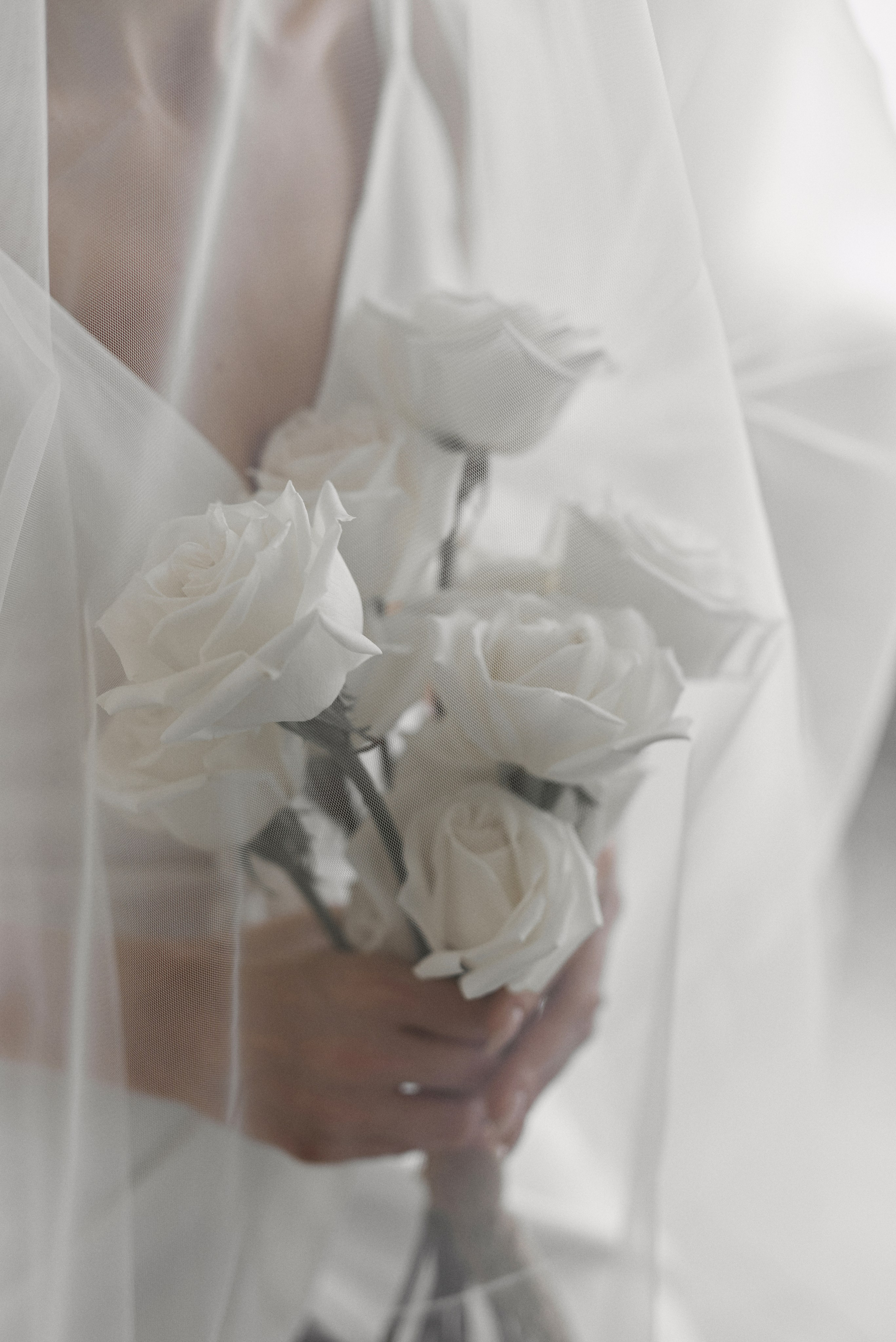 11.08.24 Костя и Алена. Свадебный фотограф Юлия Гусева