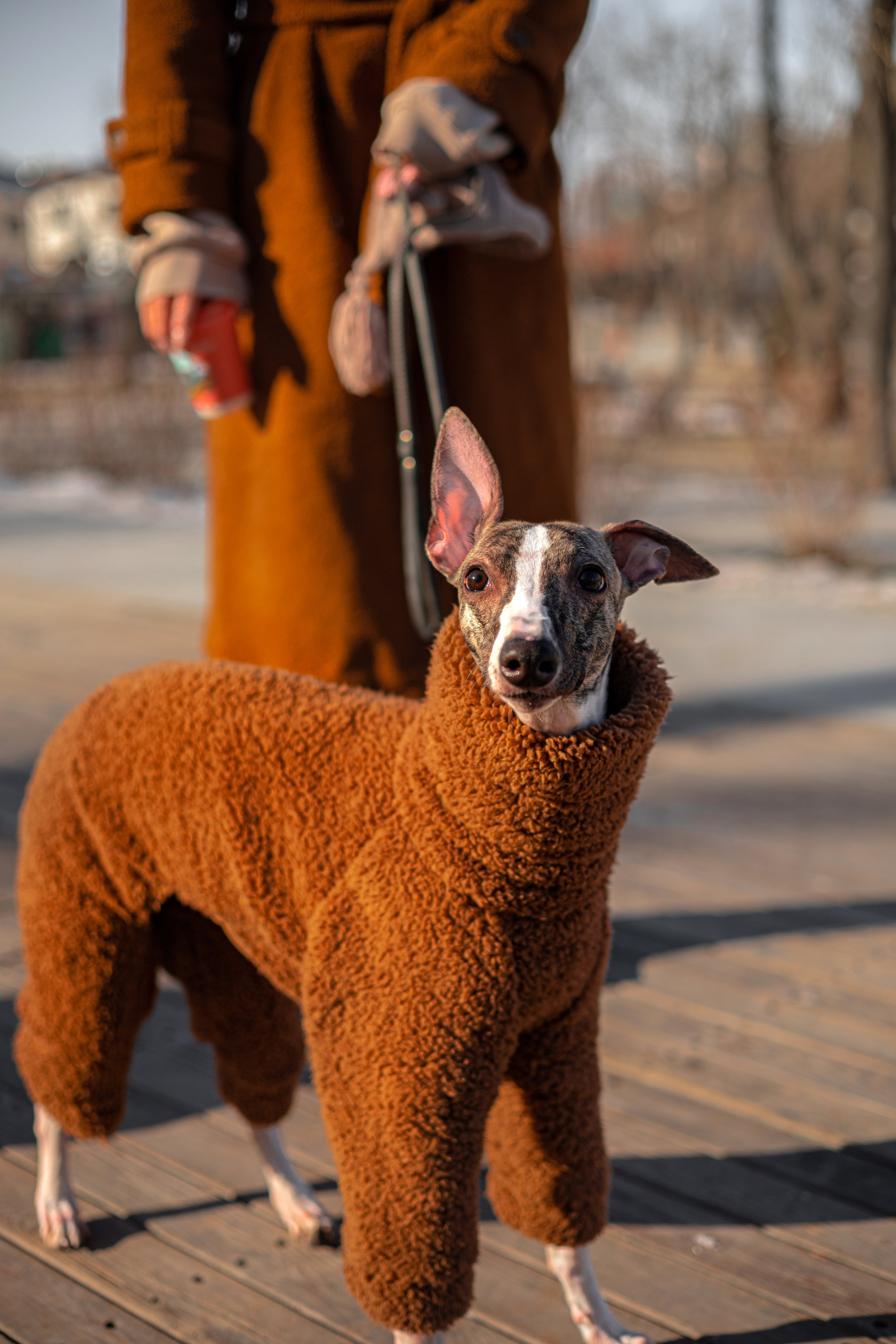 Алёна и Дос. Фотограф — анималист Владивосток, Алина