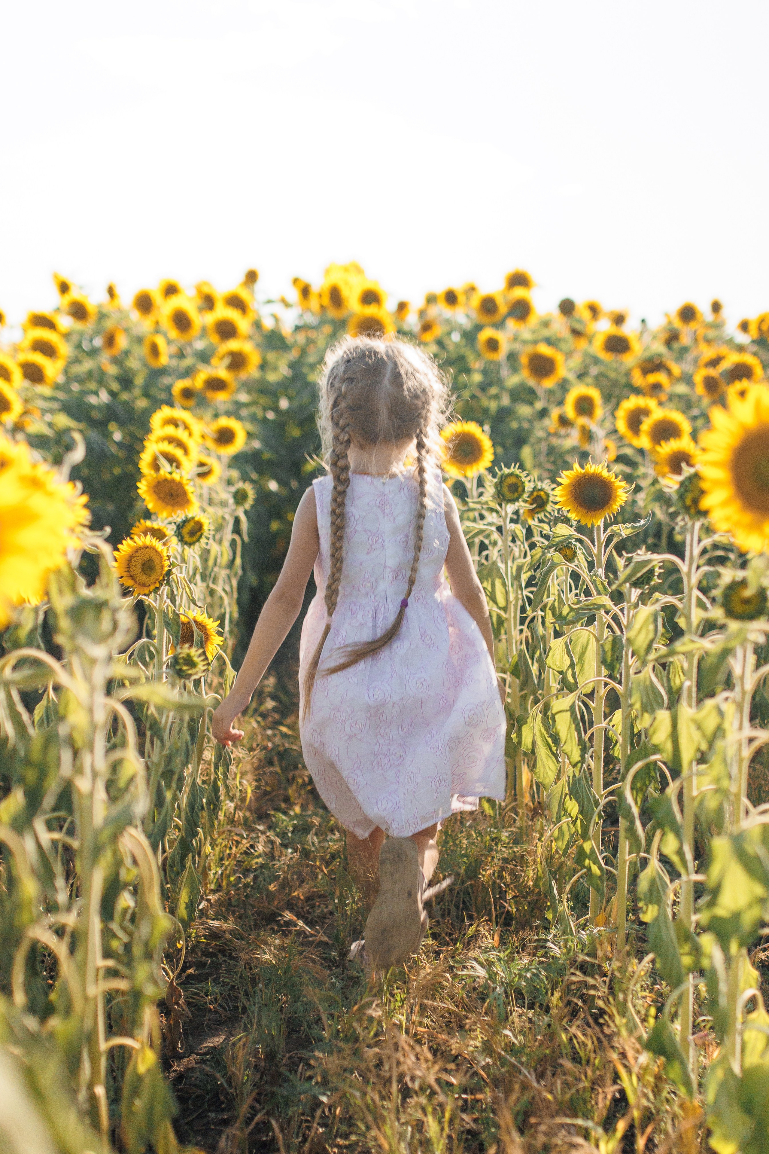 Дети и подсолнухи. Семейный фотограф lifestyle в Новосибирске Елена Шпилевая