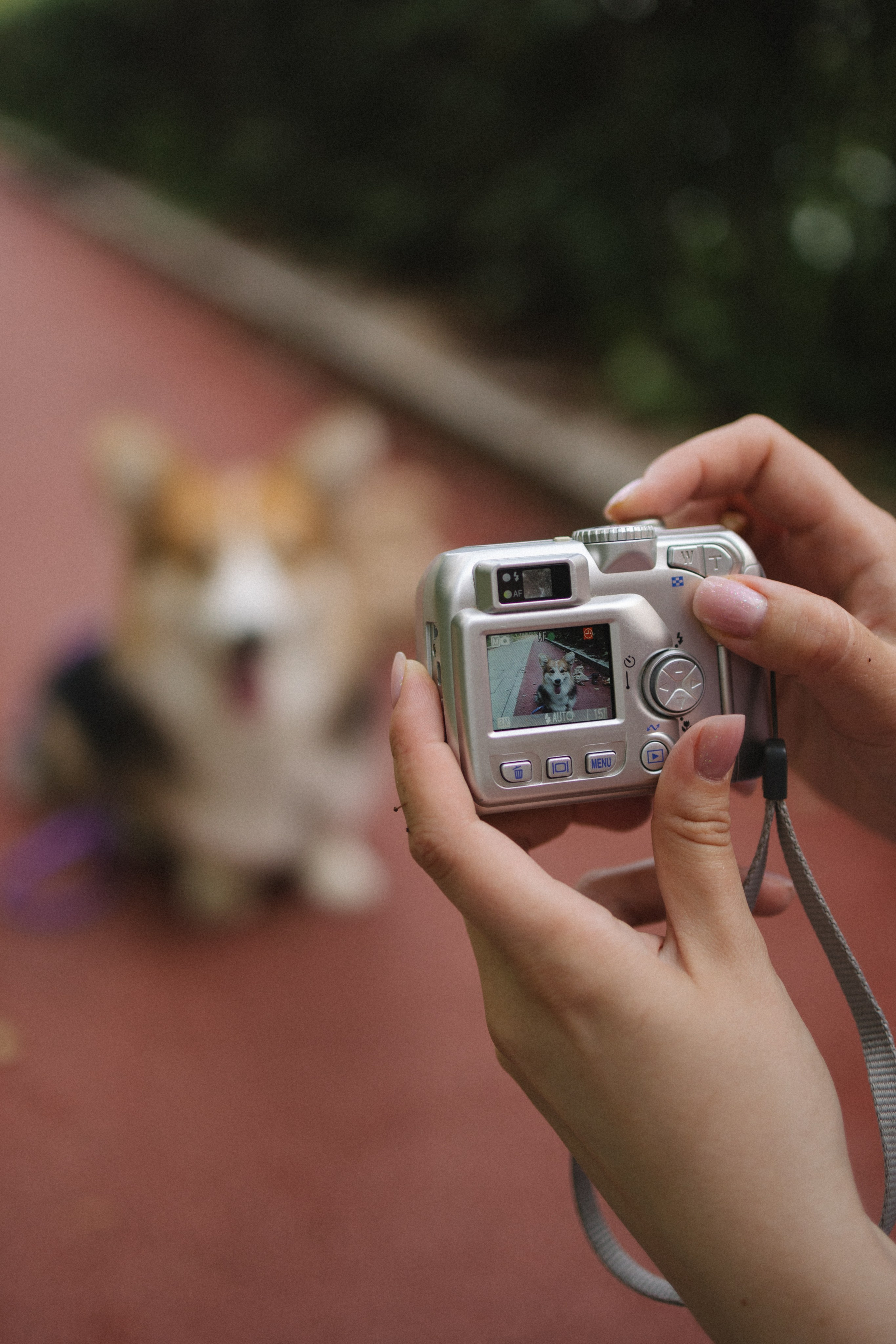 Мишель и Влада. Фотораф — анималист Мария Шистка