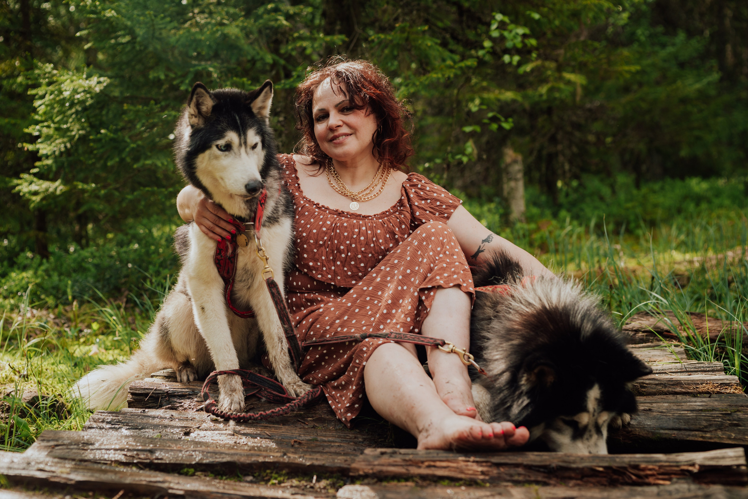 Догтрекинг. Фотограф в Санкт-Петербурге и Ленинградской области