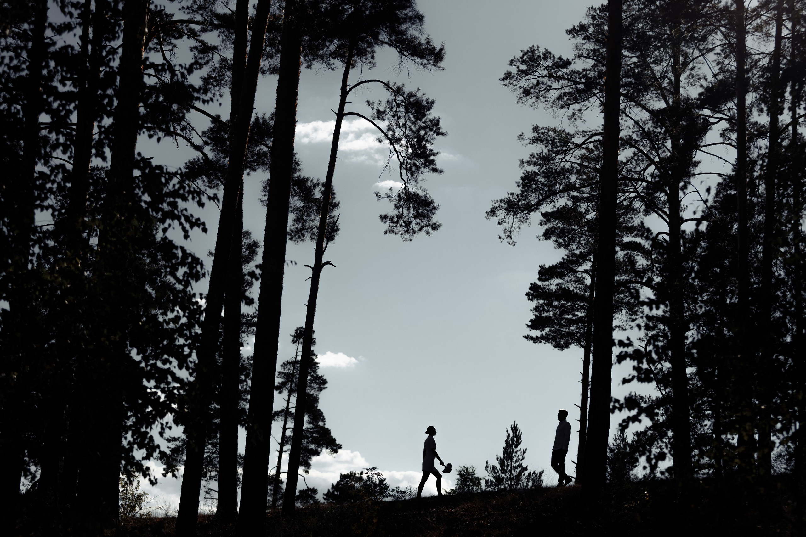 Artem and Alla. Свадебный фотограф Казань Чебоксары Москва