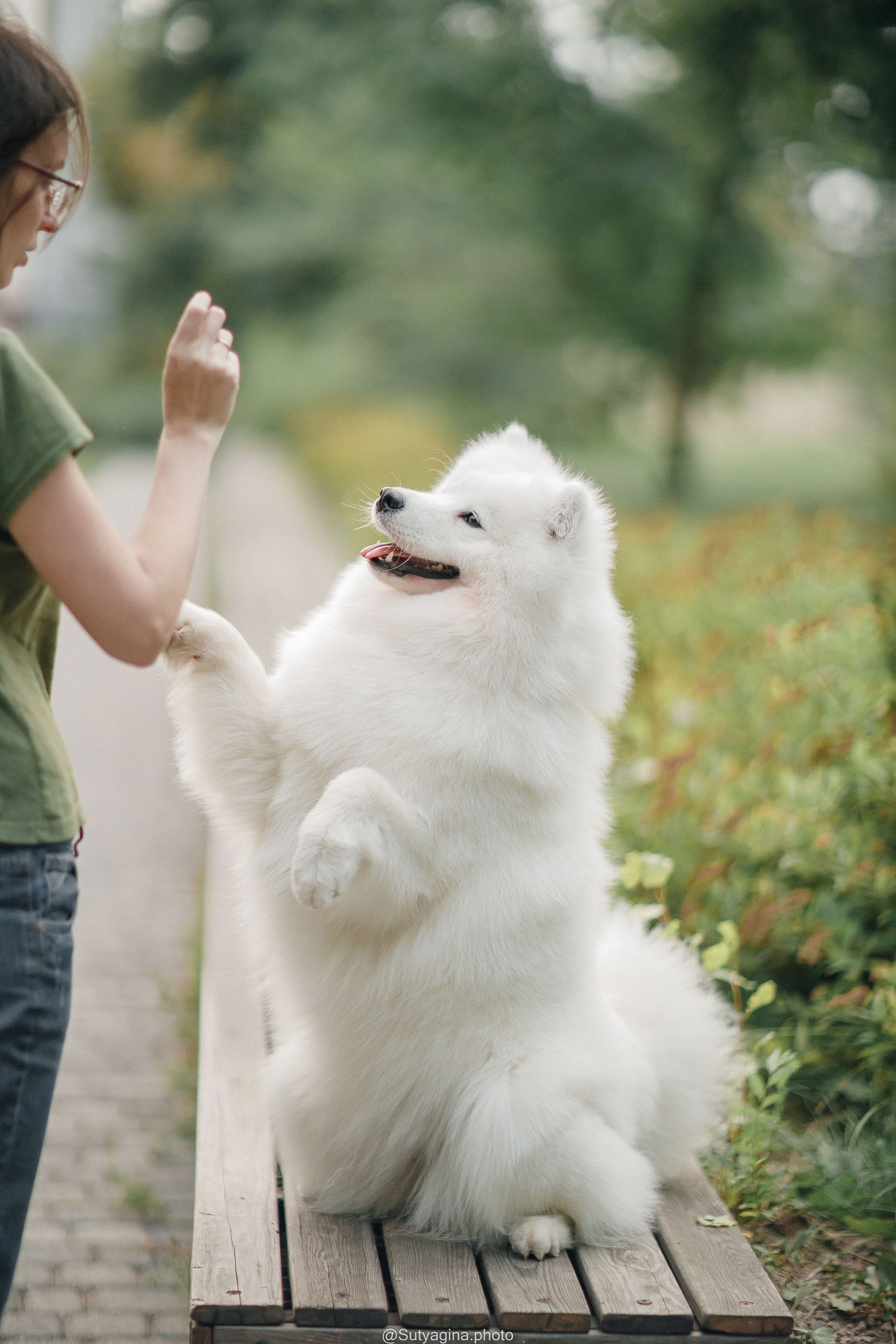 Самоед Рея. Свадебный и женский фотограф