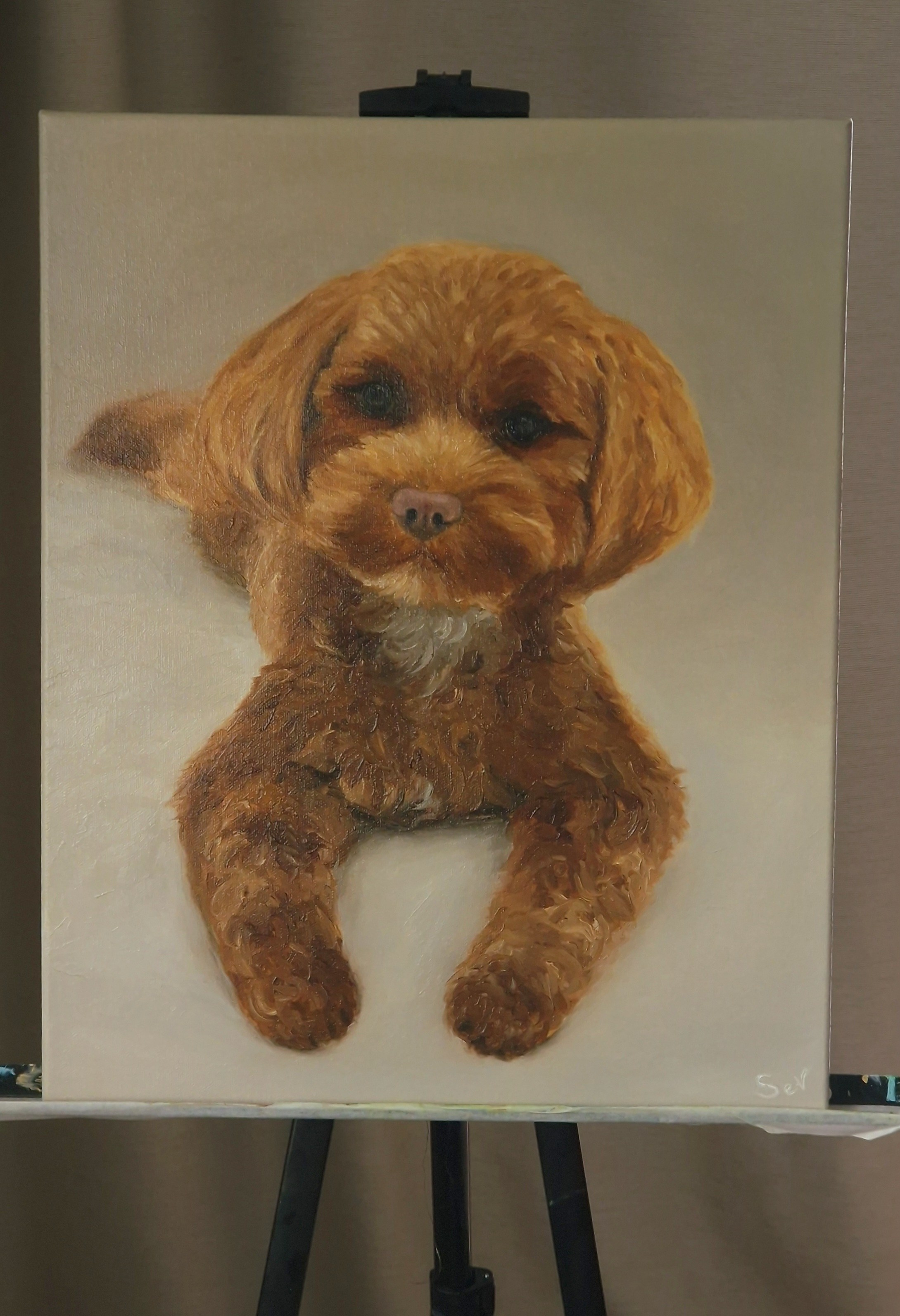 Портреты маслом, углем, пастелью. Свадебный, семейный фотограф в Москве Маргарита Севьянц