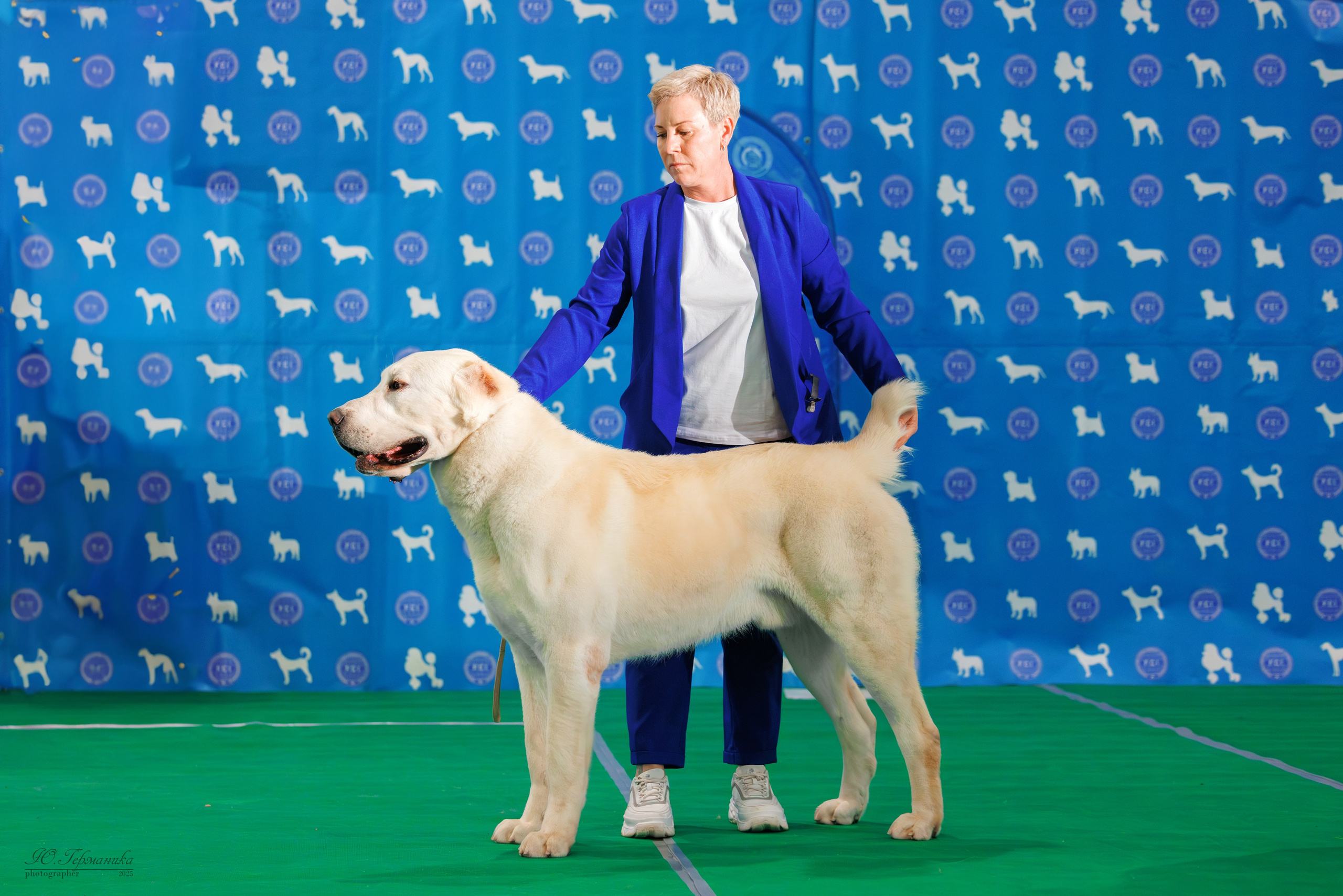 Минск 1-2.03.2025. Фотограф-анималист Юлия Германика