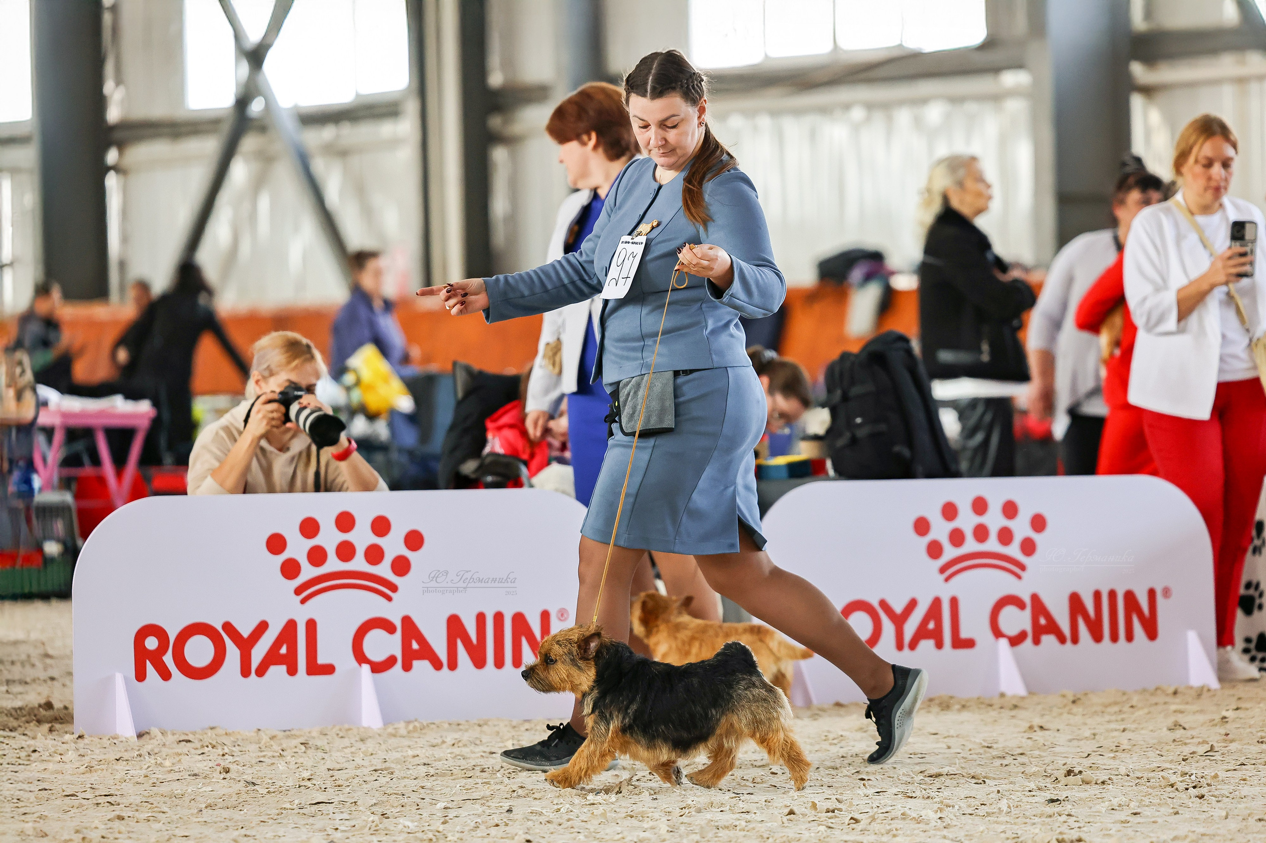 Астана 2хCACIB 26-28.09.2025. Фотограф-анималист Юлия Германика