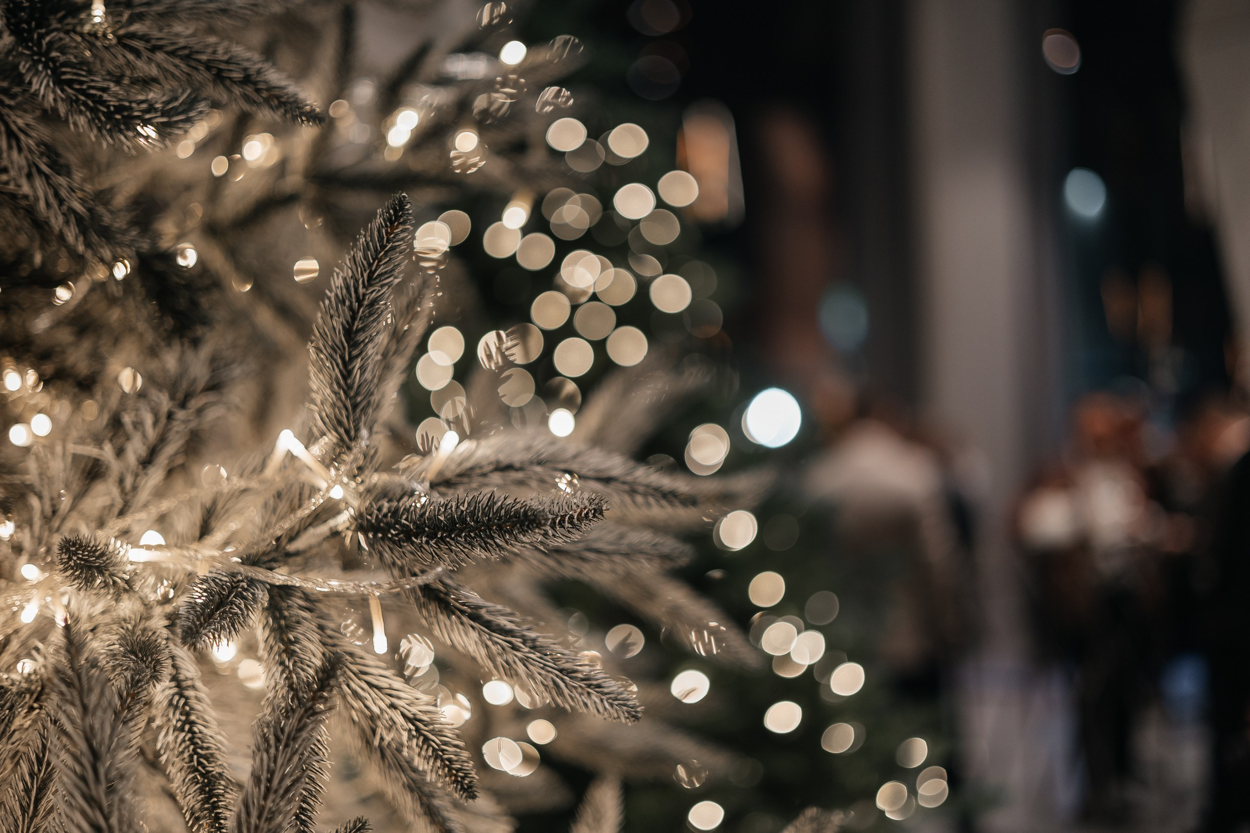 Газпромбанк New Year Лапино Холл. Фотограф Москва Людмила Белова