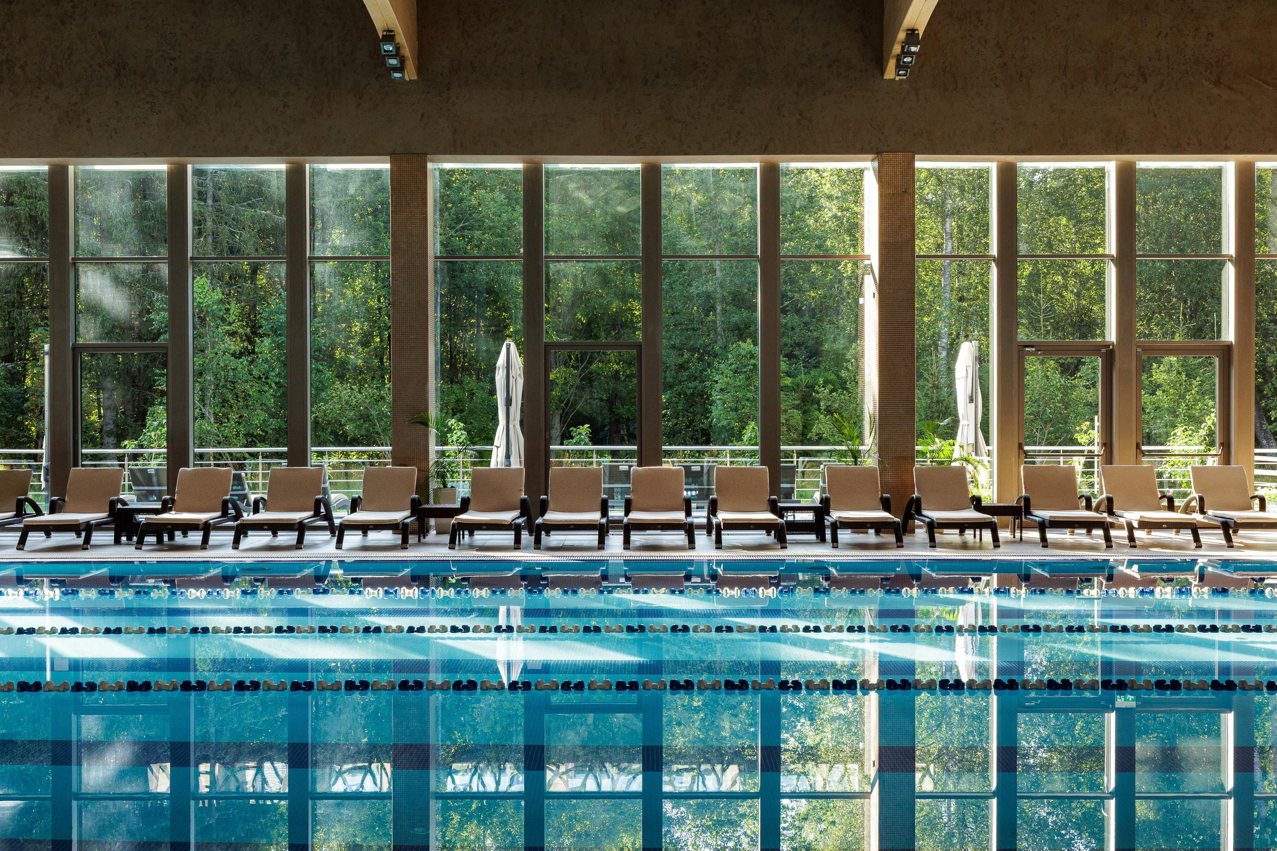 Cosmos Collection Izumrudny Les