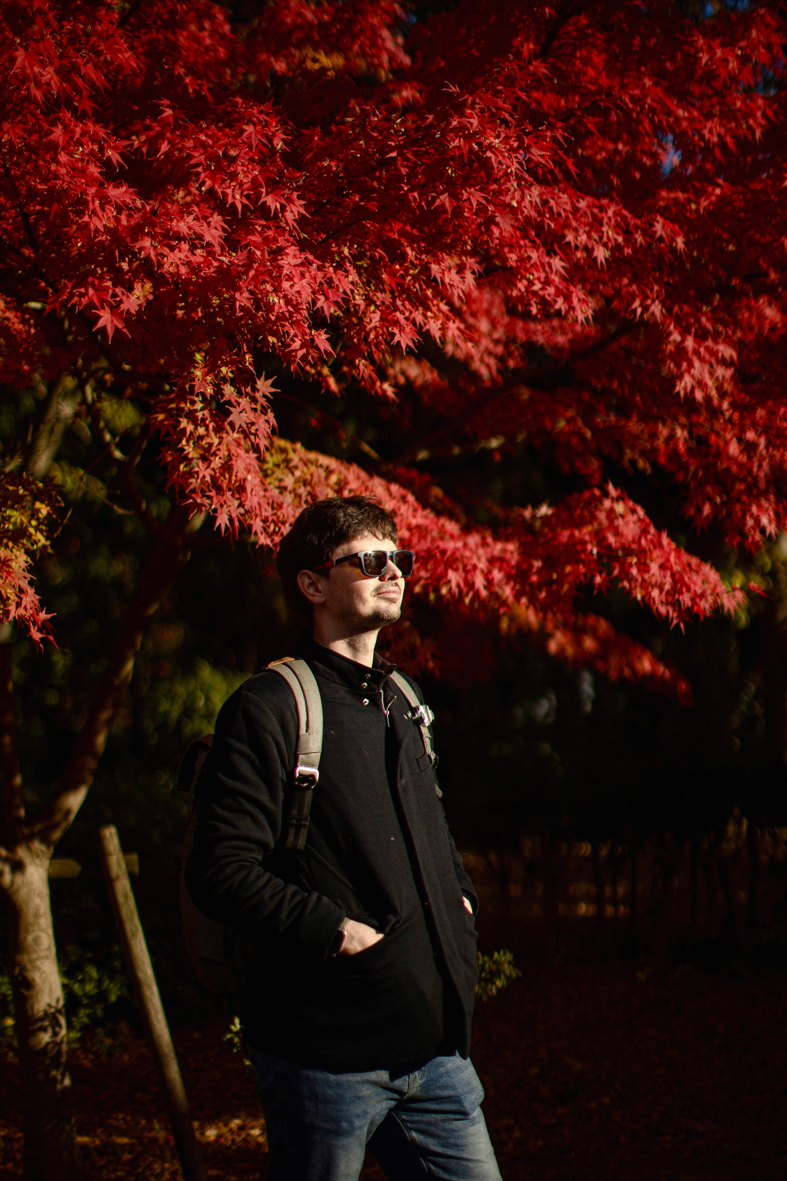 Япония. Главная