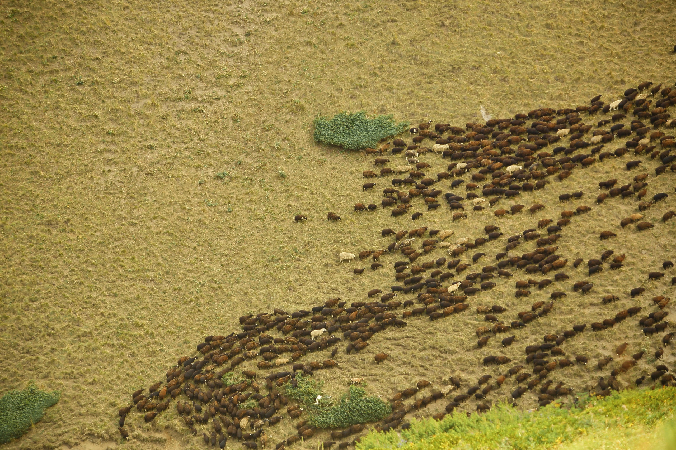 Кавказ. Свадебный и репортажный фотограф в Ярославле и Санкт-Петербурге Роман Микрюков