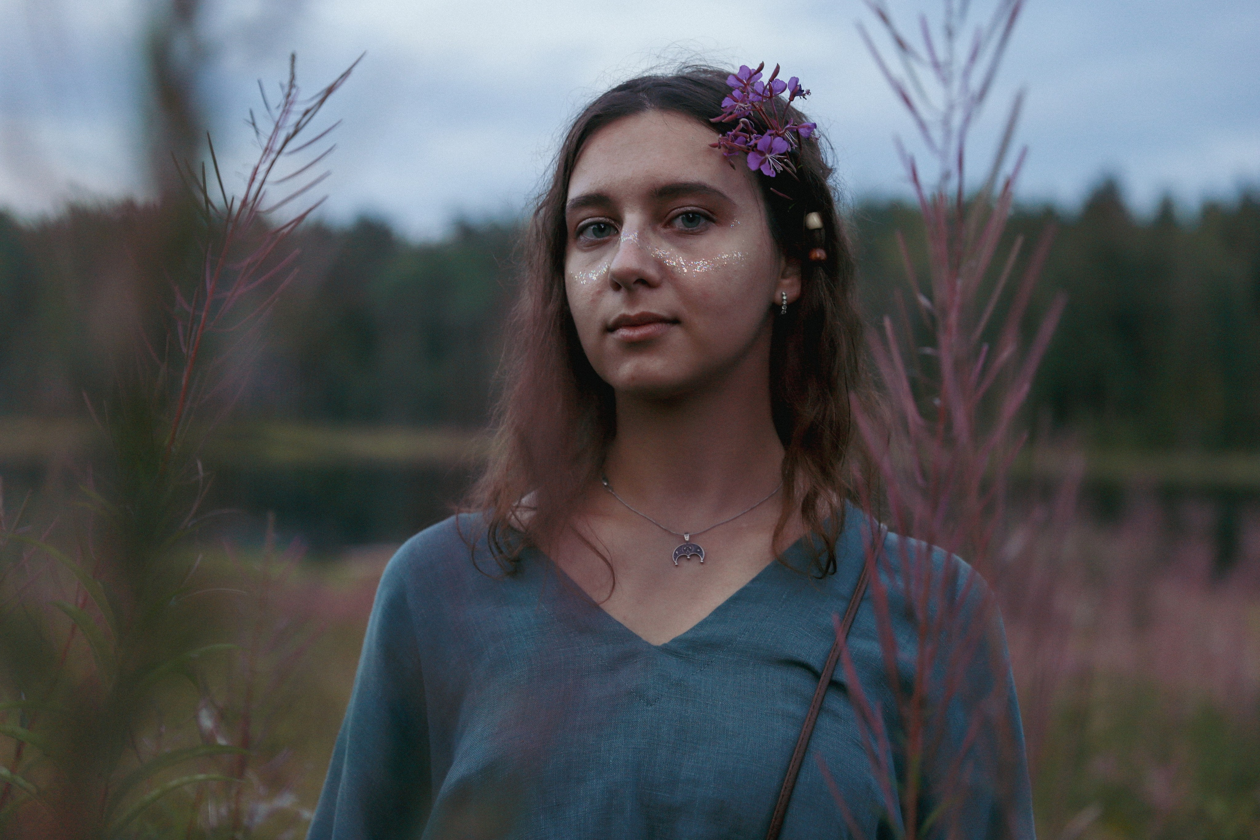 Фестиваль Жива