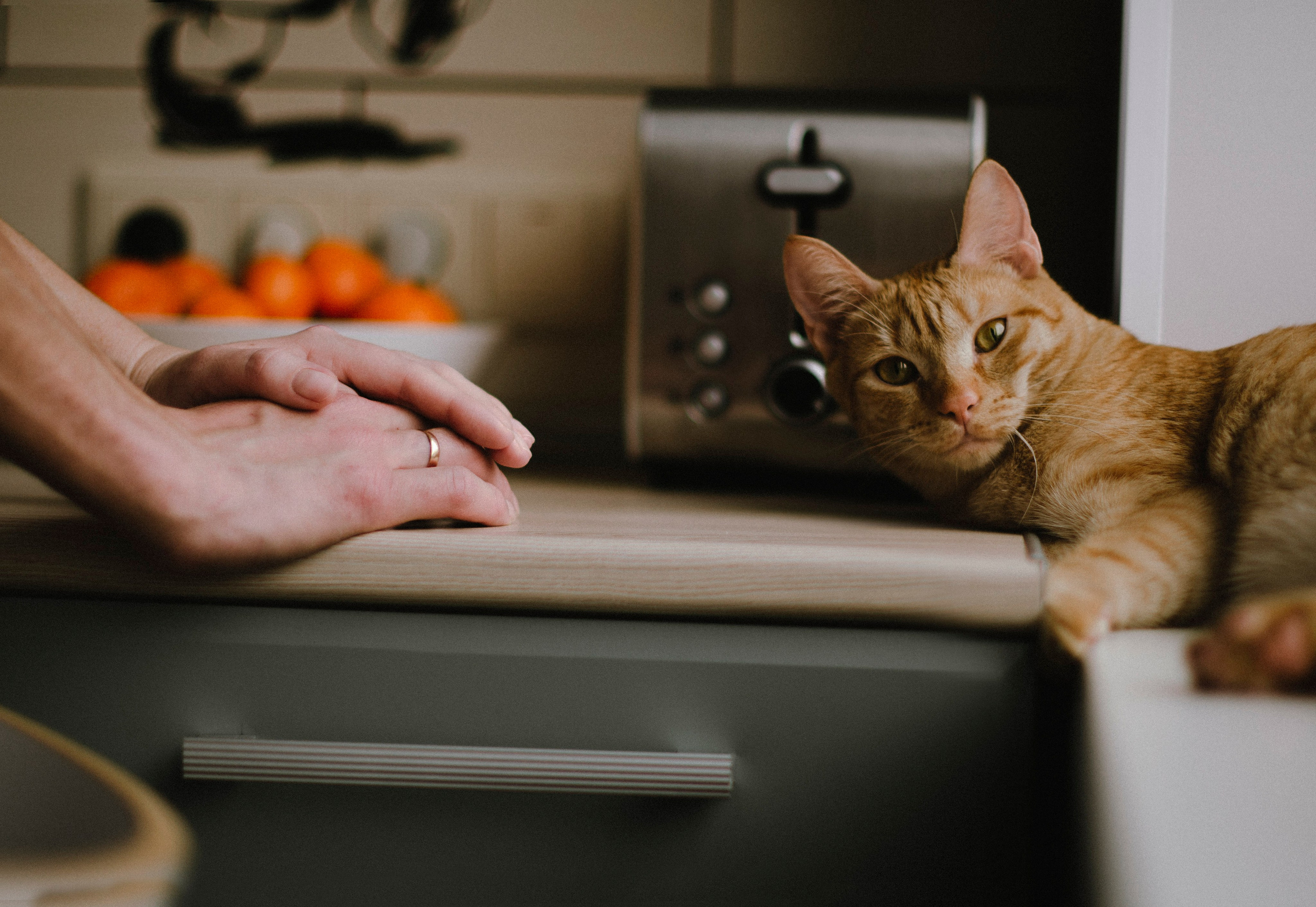 Домашняя уютная история. Lifestyle семейный и детский фотограф в Омске Иванова Екатерина